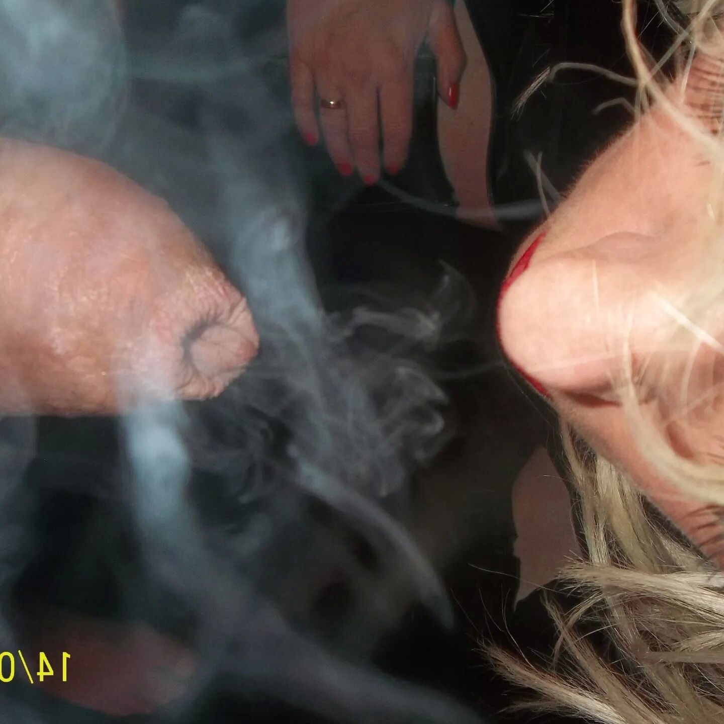 SHIRLEY SLUT 206