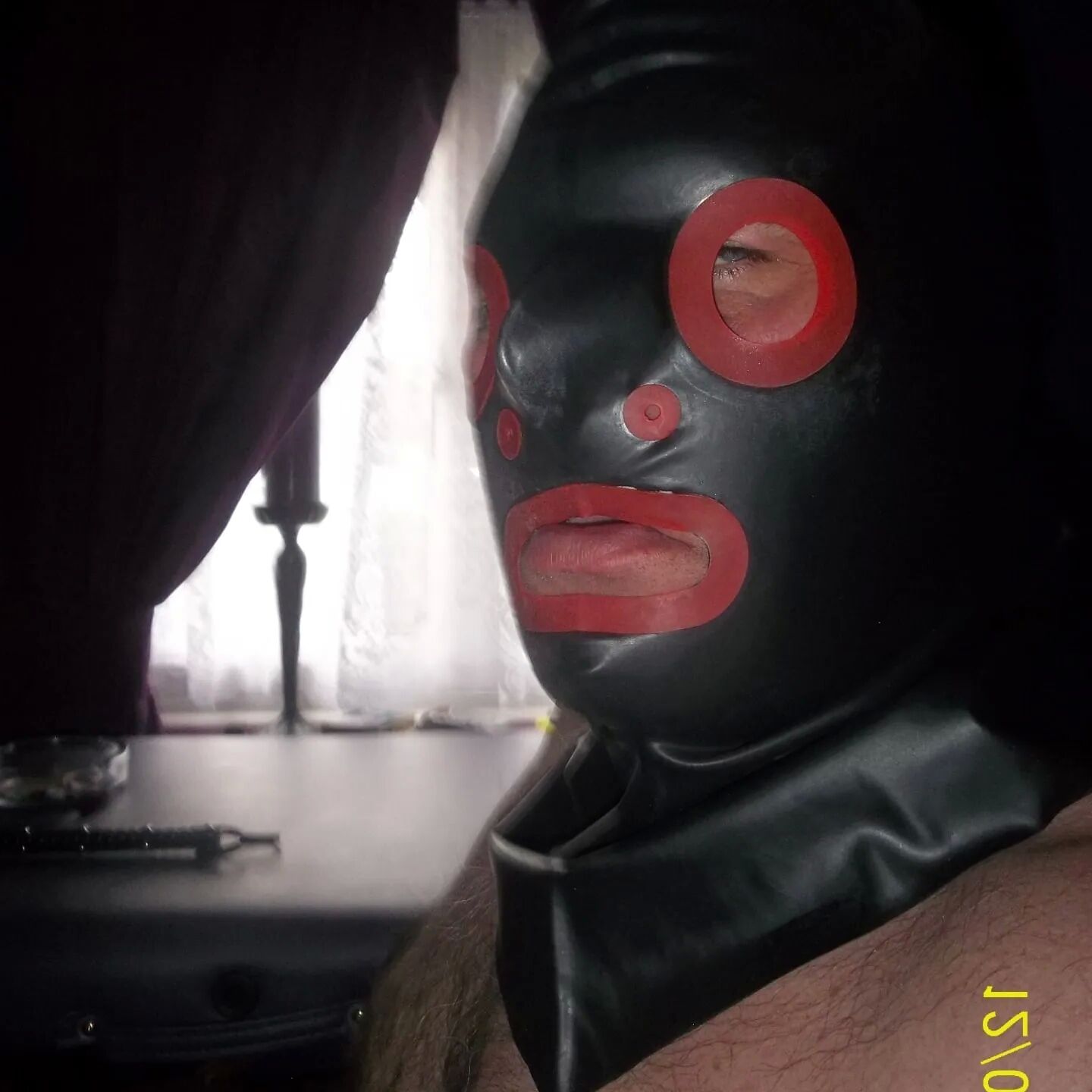 SHIRLEY SLUT 204