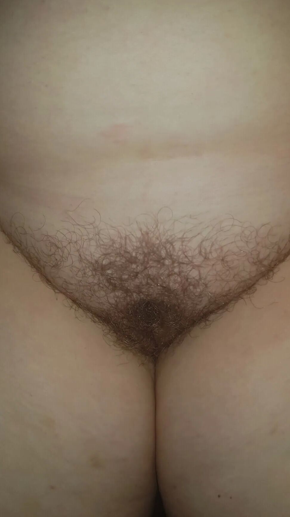 Chubby MILF Amy Leaf- Let it grow part 3