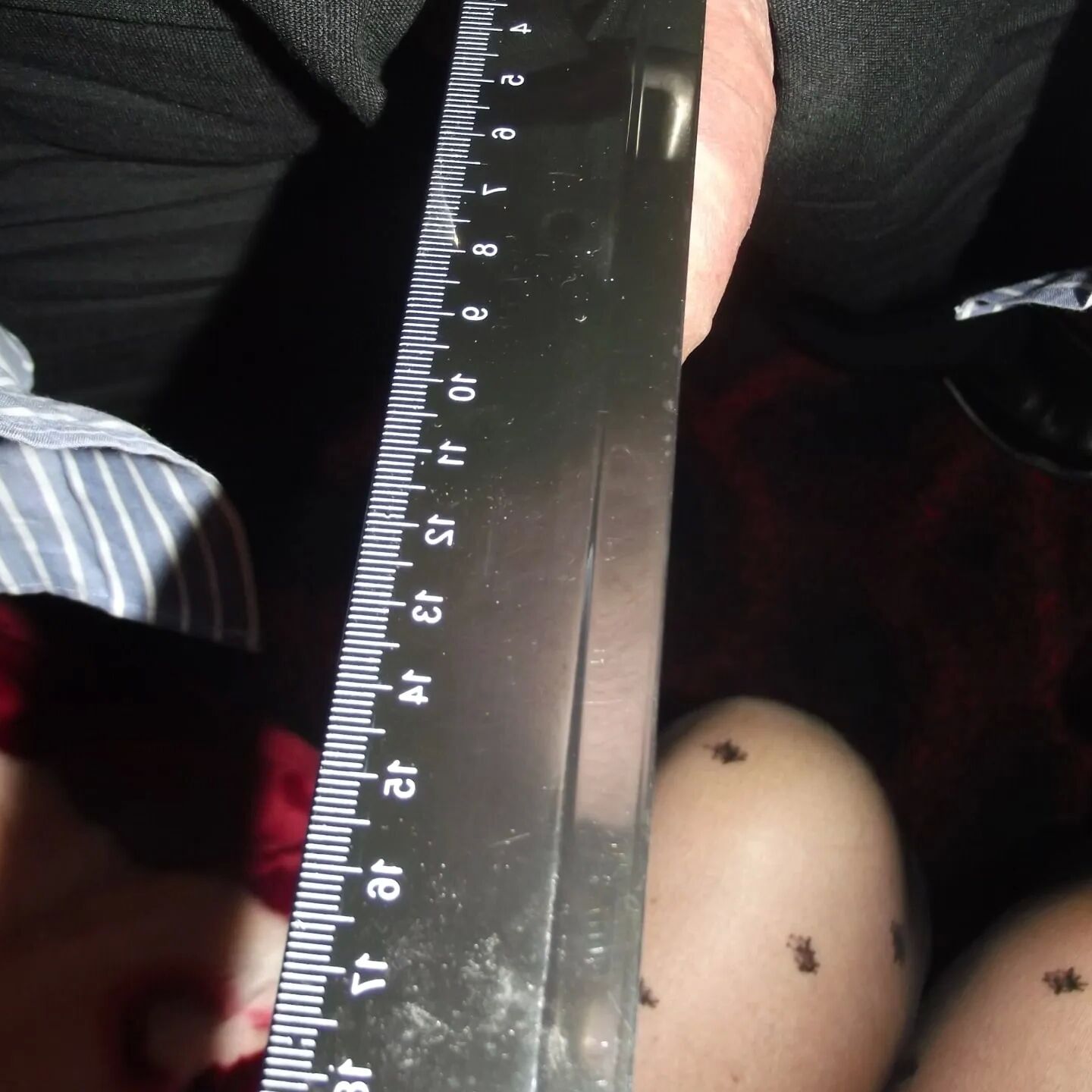 SHIRLEY SLUT 158