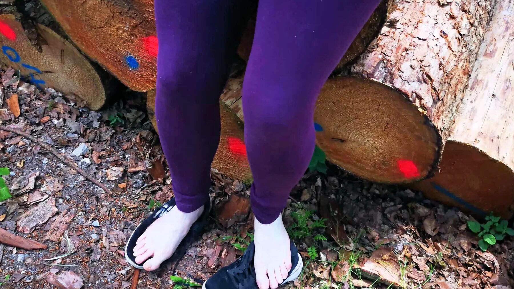 Mixed Tits and Cunt