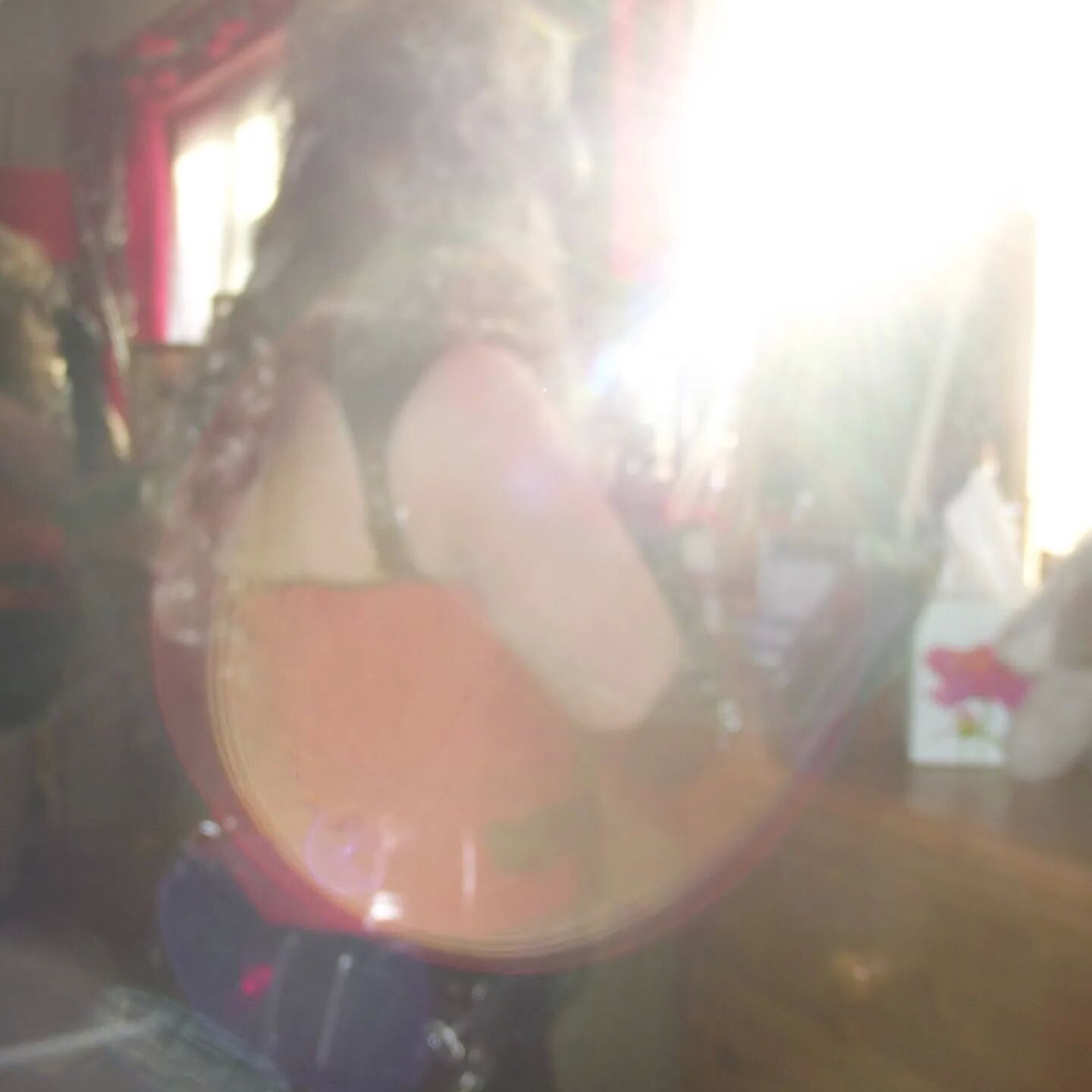 SHIRLEY SLUT 120
