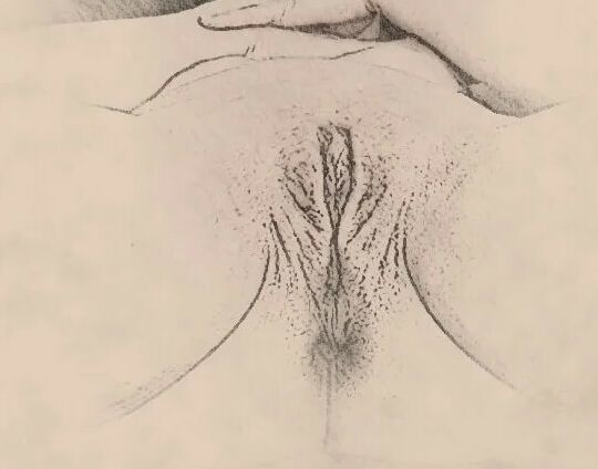 My pussy...