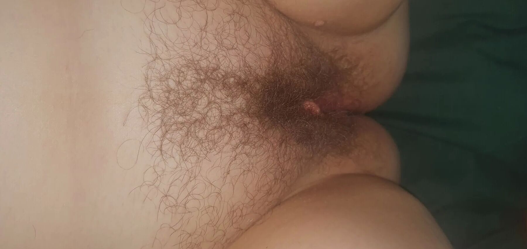 Chubby MILF Amy Leaf- The bush is growing