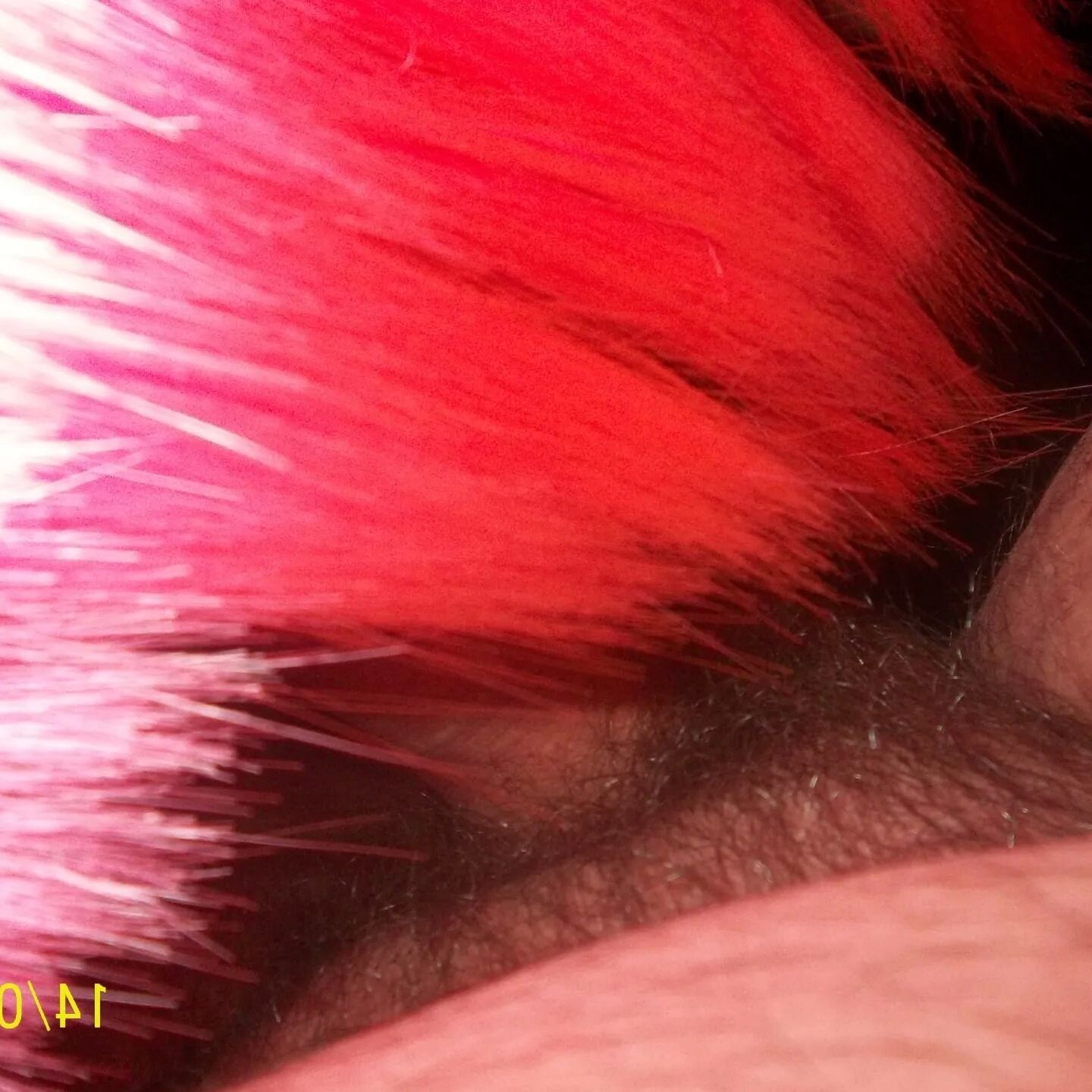 SHIRLEY SLUT 56