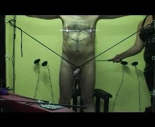 Femdom frenzy