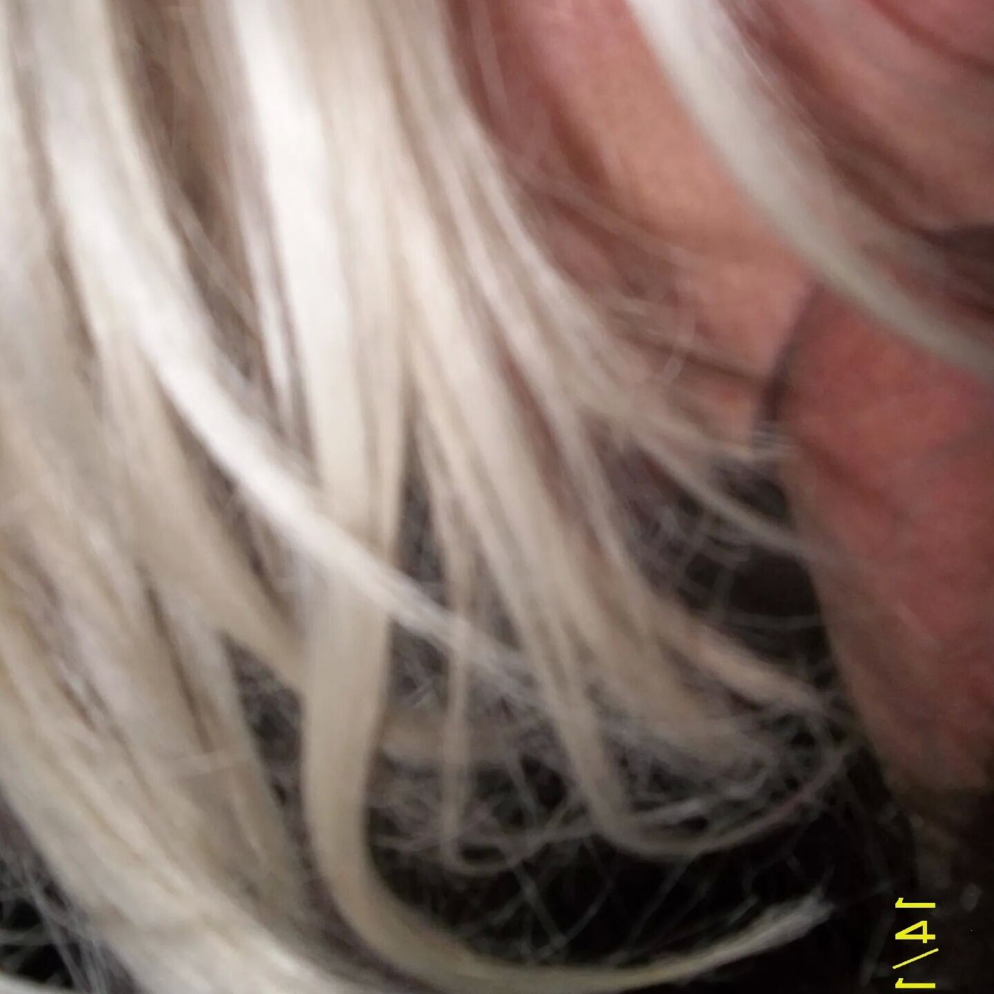 SHIRLEY SLUT 12