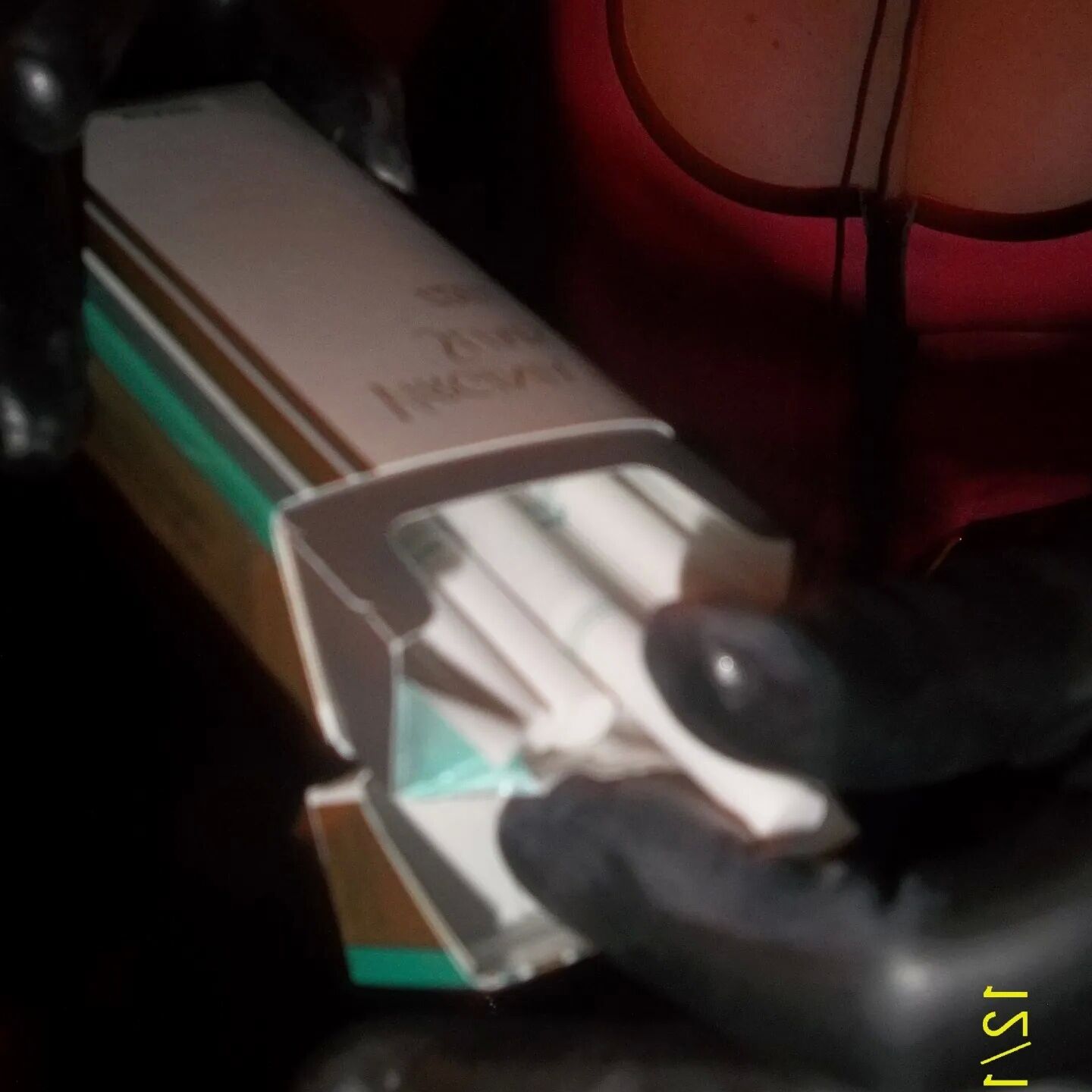 SHIRLEY SLUT 8