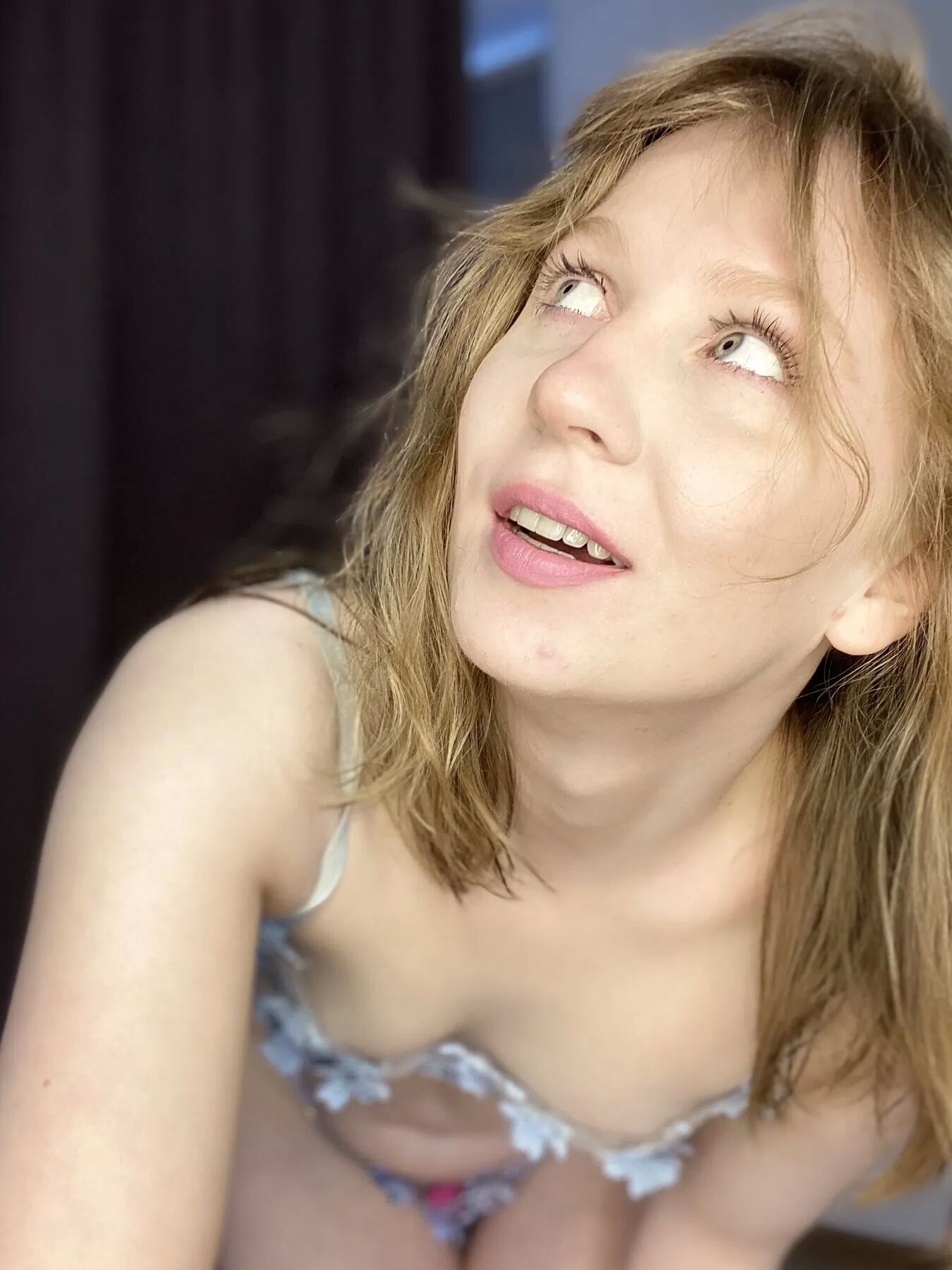 Lulu Free Photos