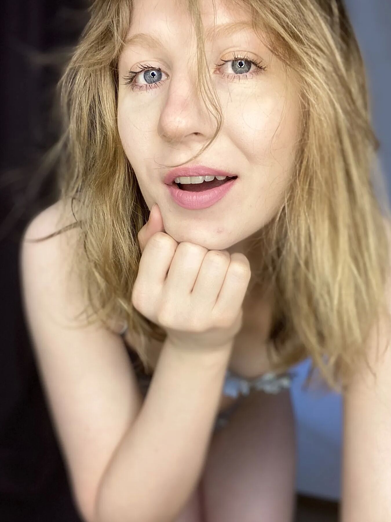 Lulu Free Photos