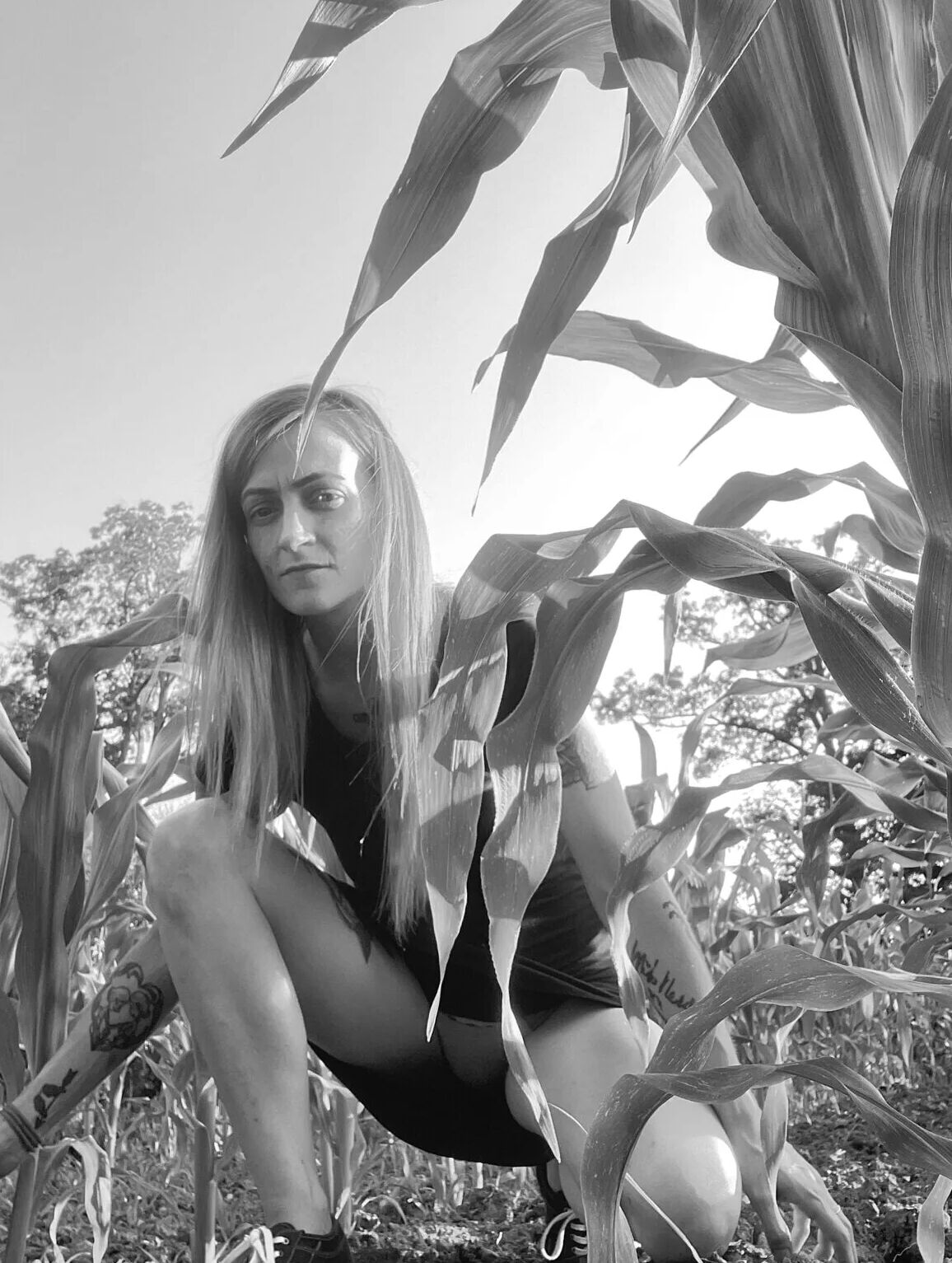 Rebel Yell Free Photos