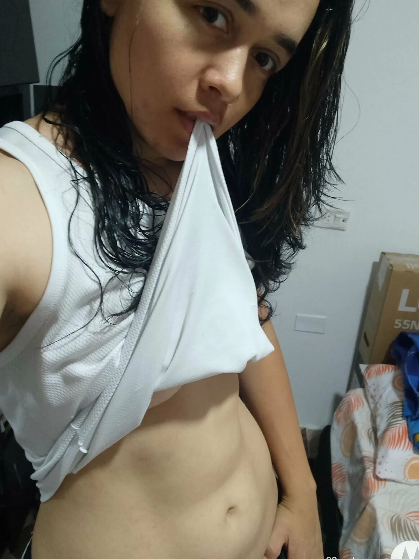 Sofhy Free Photos