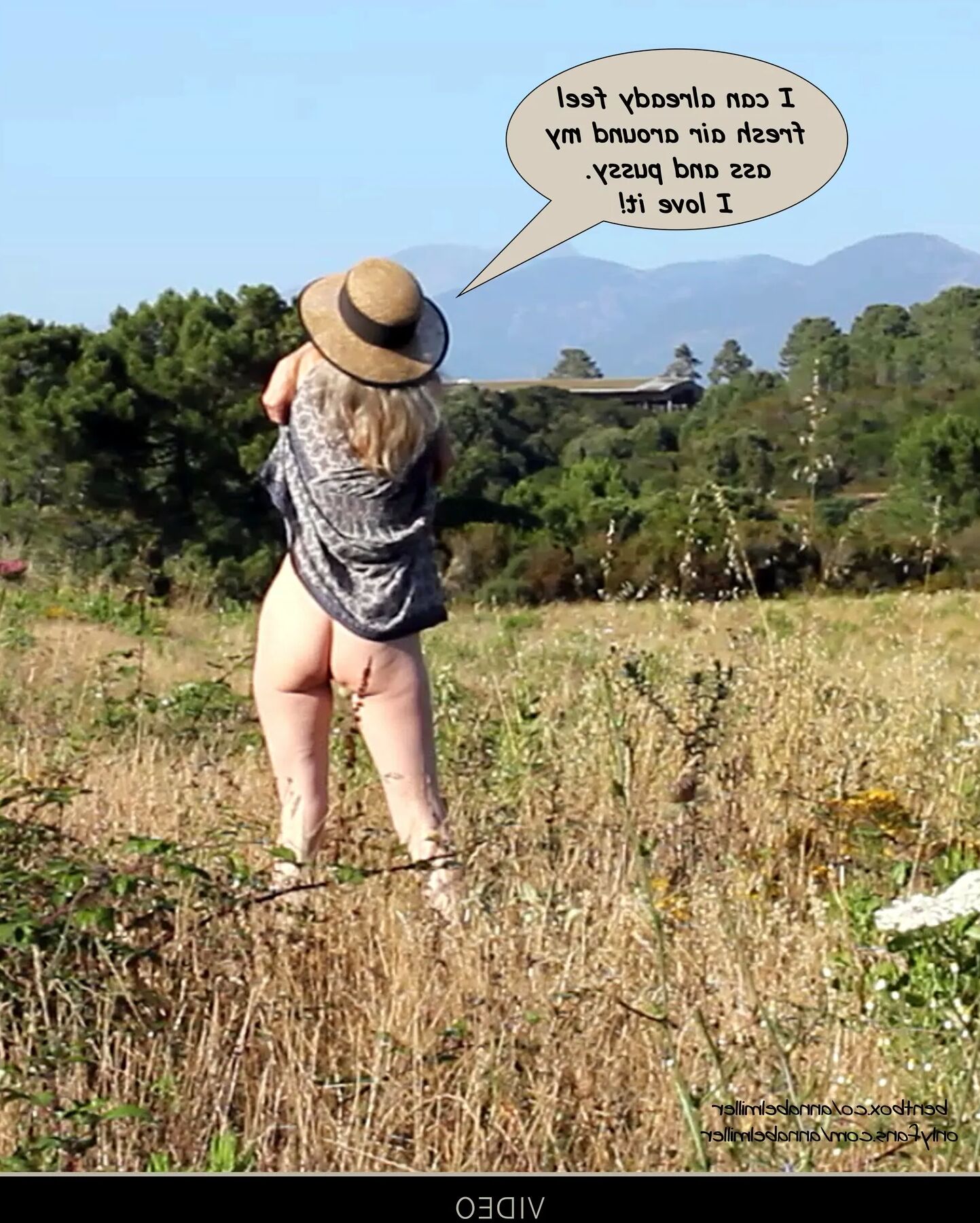 Annabel Miller: Isle of angels