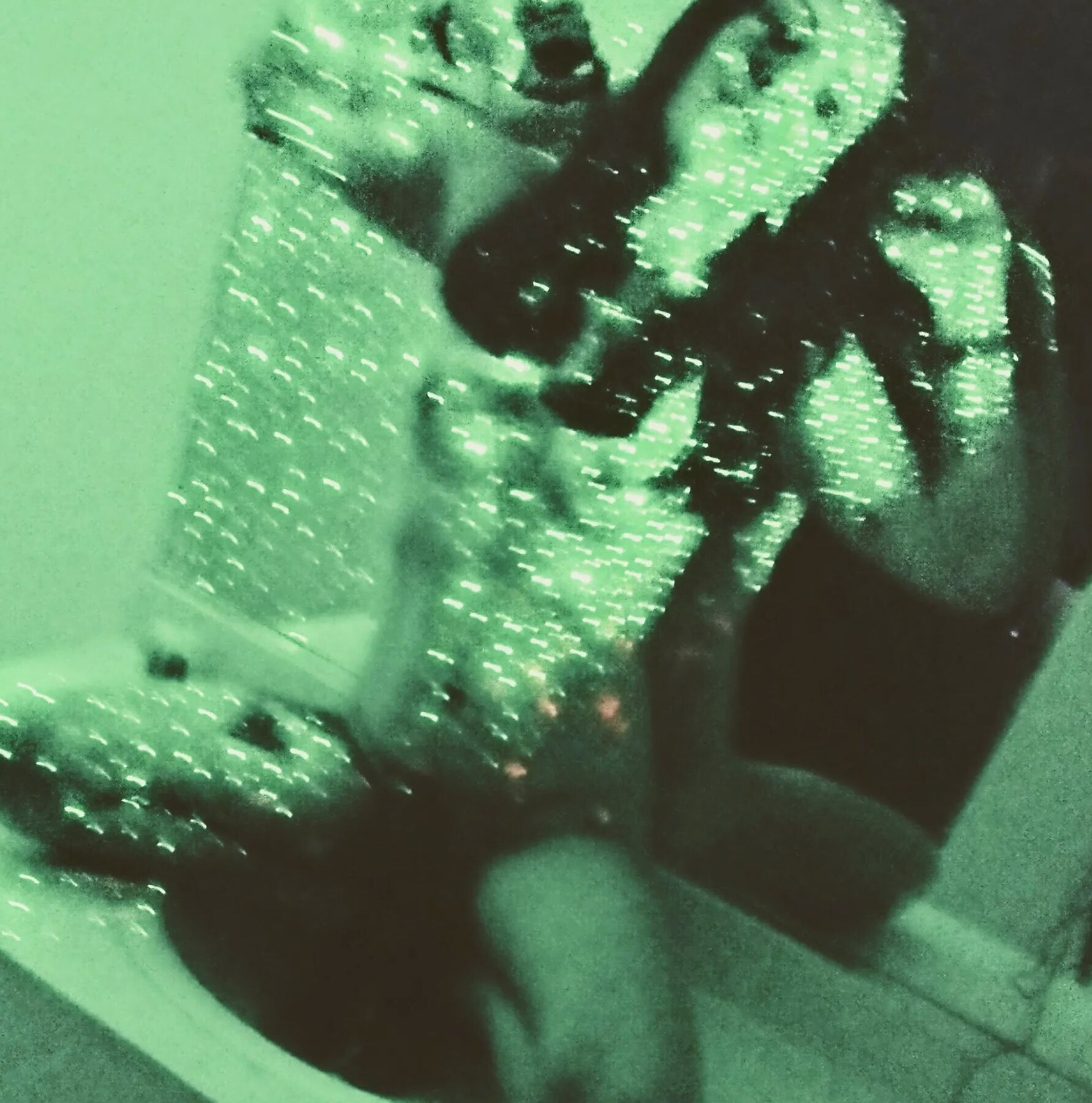 Kattalicious