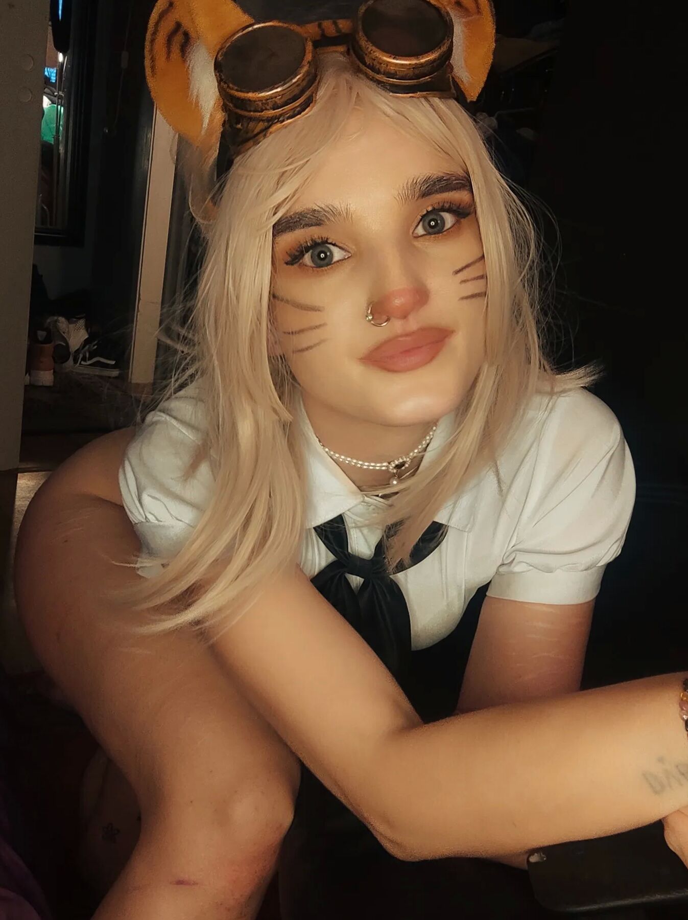 Tiger pilot