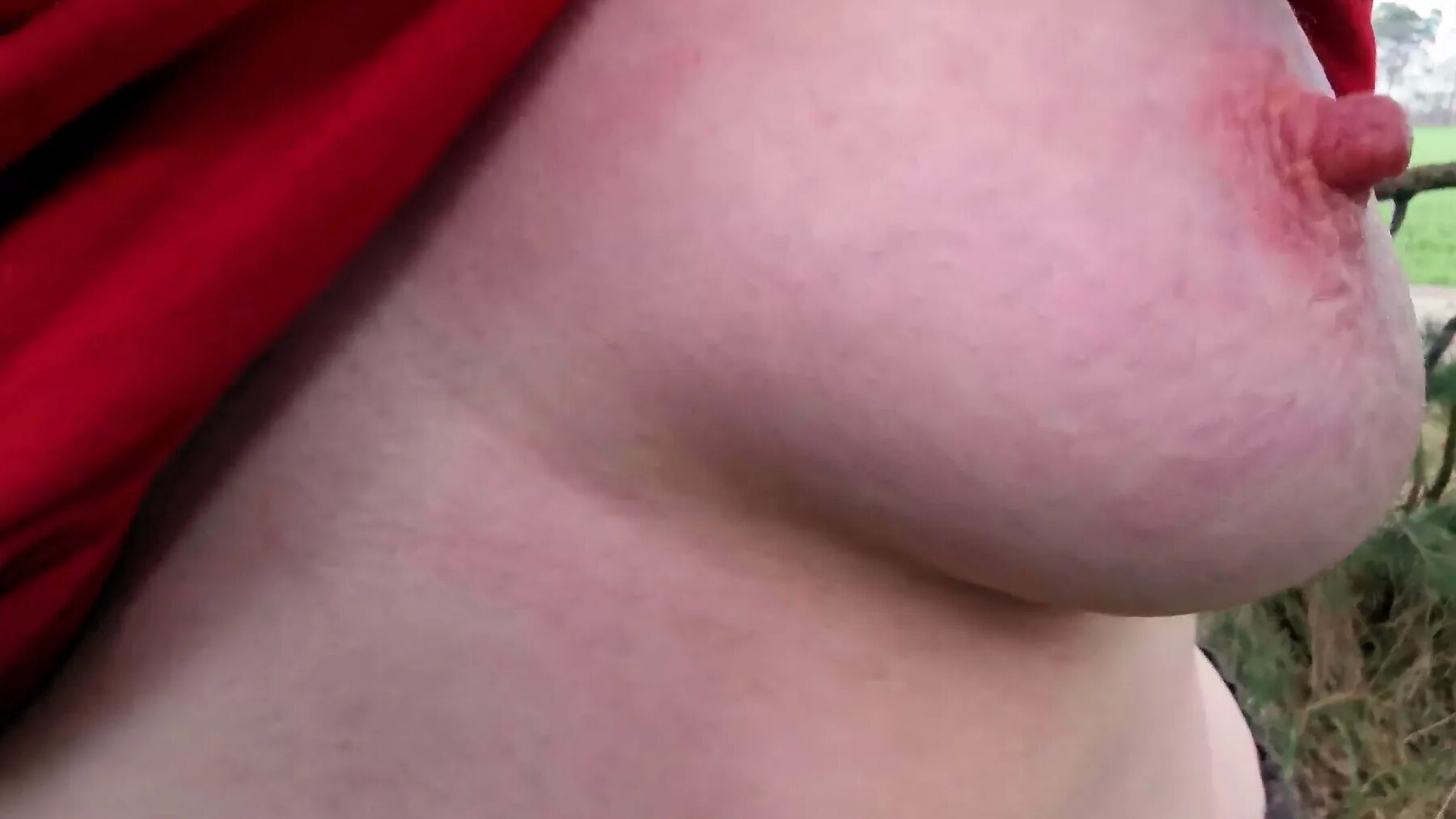 My breasts