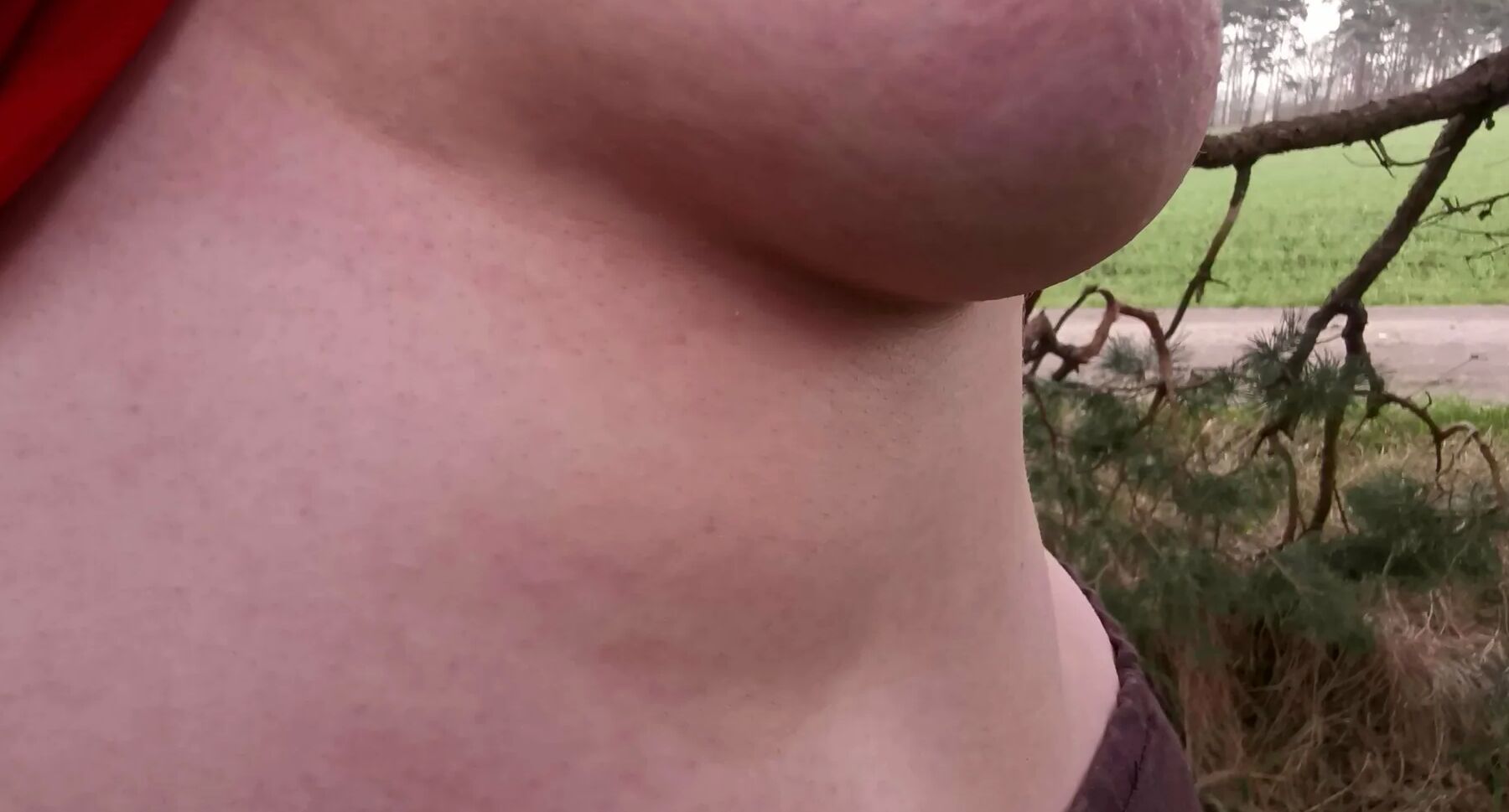 My breasts