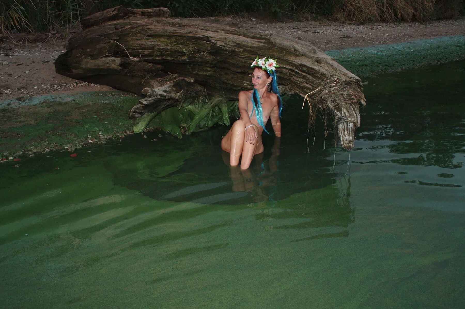 Mavcka