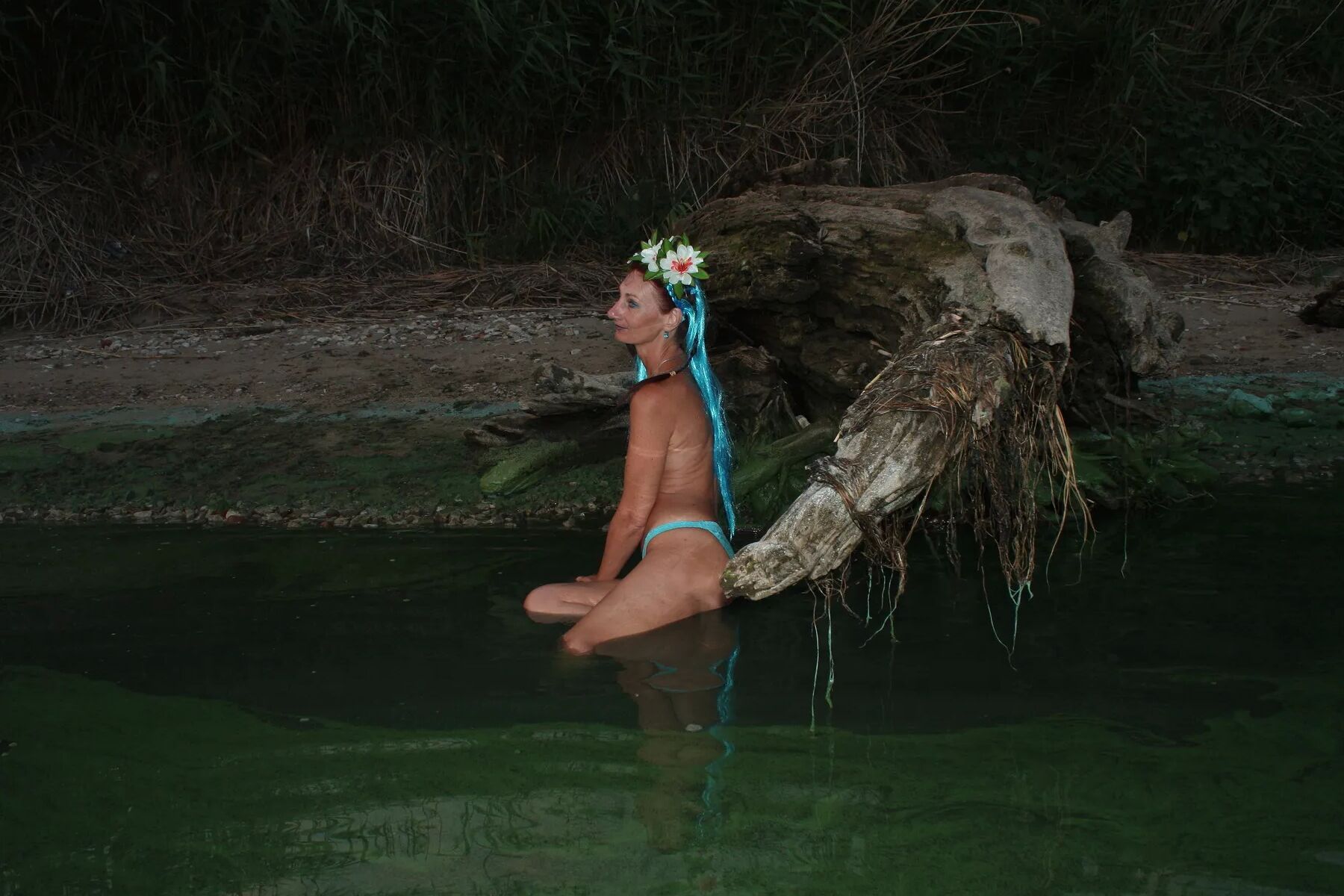 Mavcka