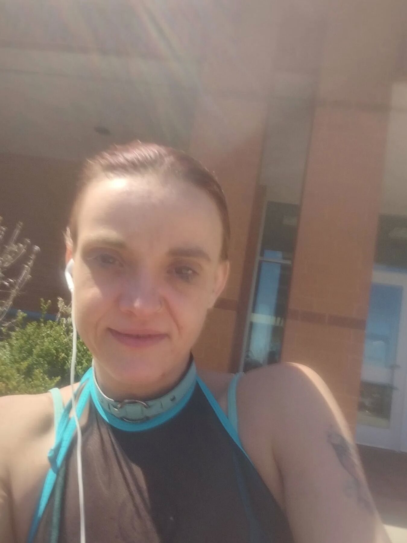 Kitti Free Photos
