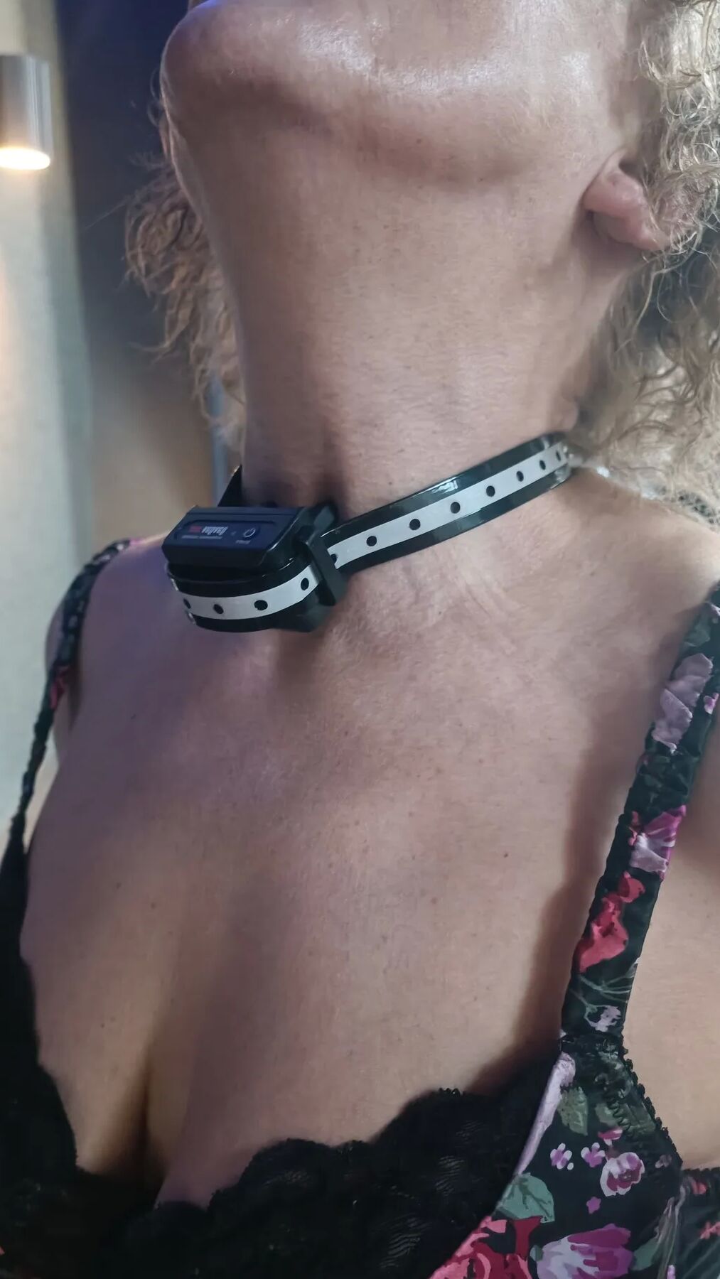 Sub mature. Dog leash