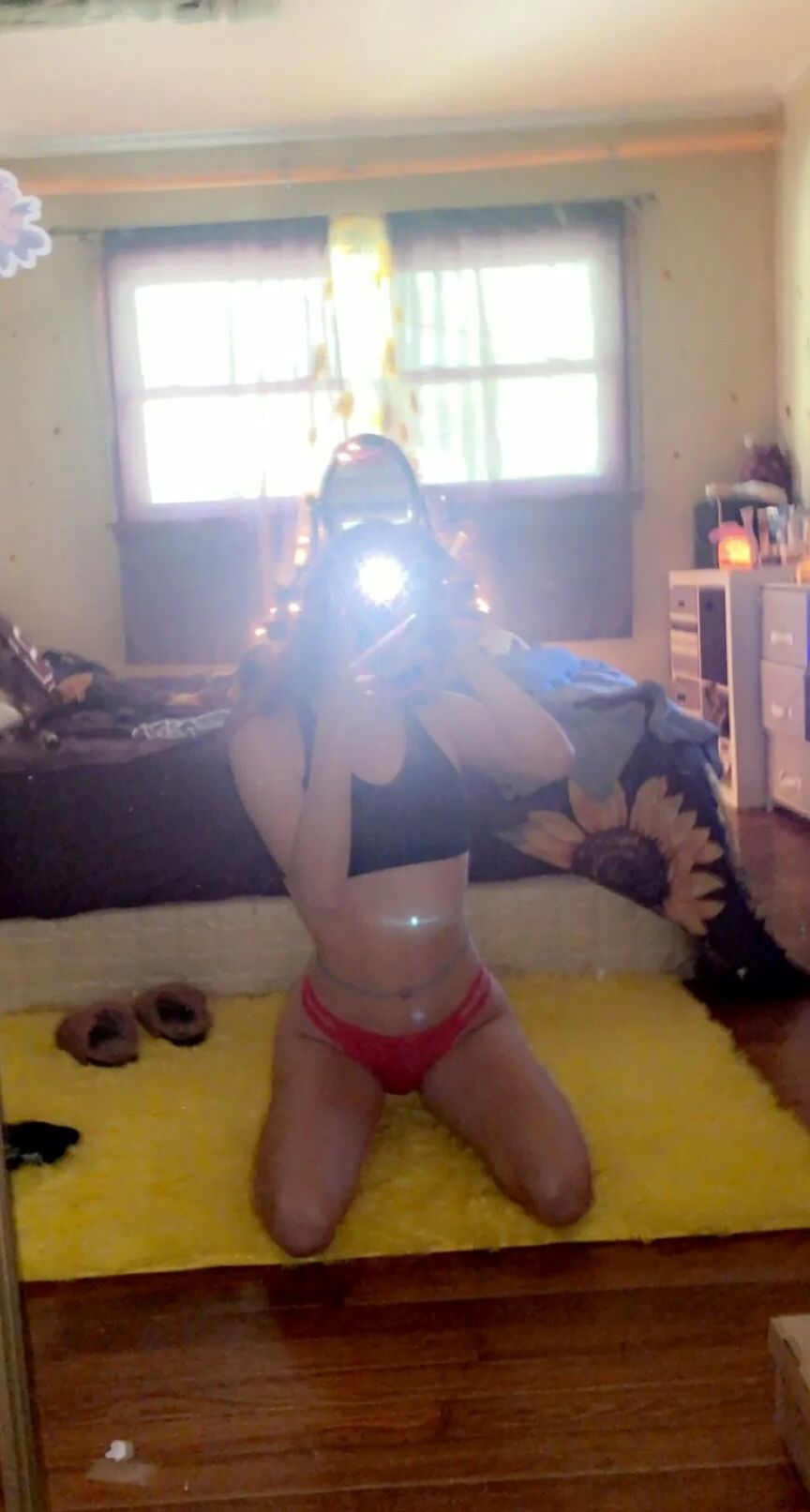 Bunni Free Photos
