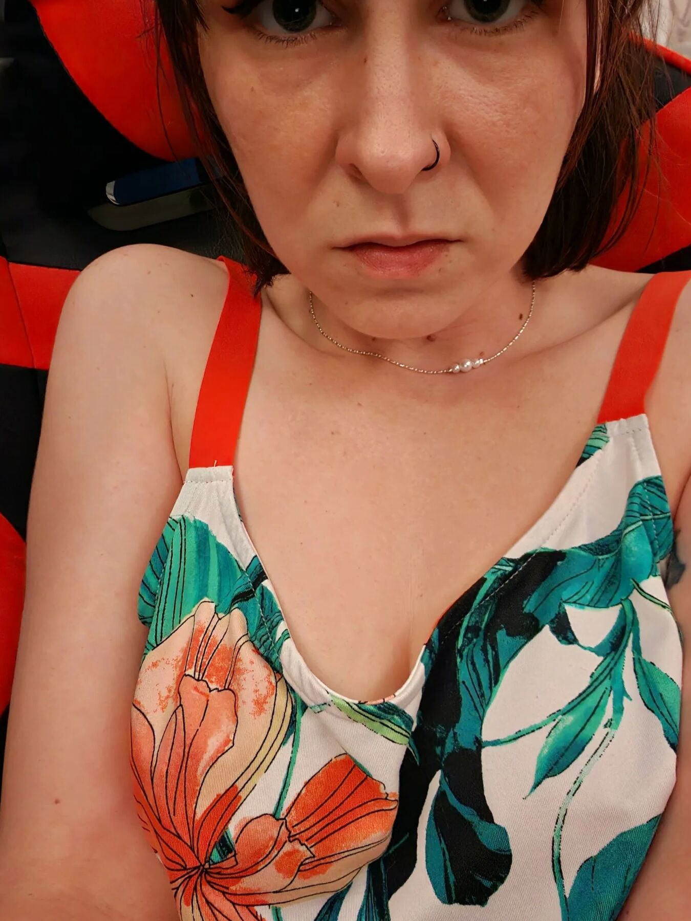 BellaThune Free Photos