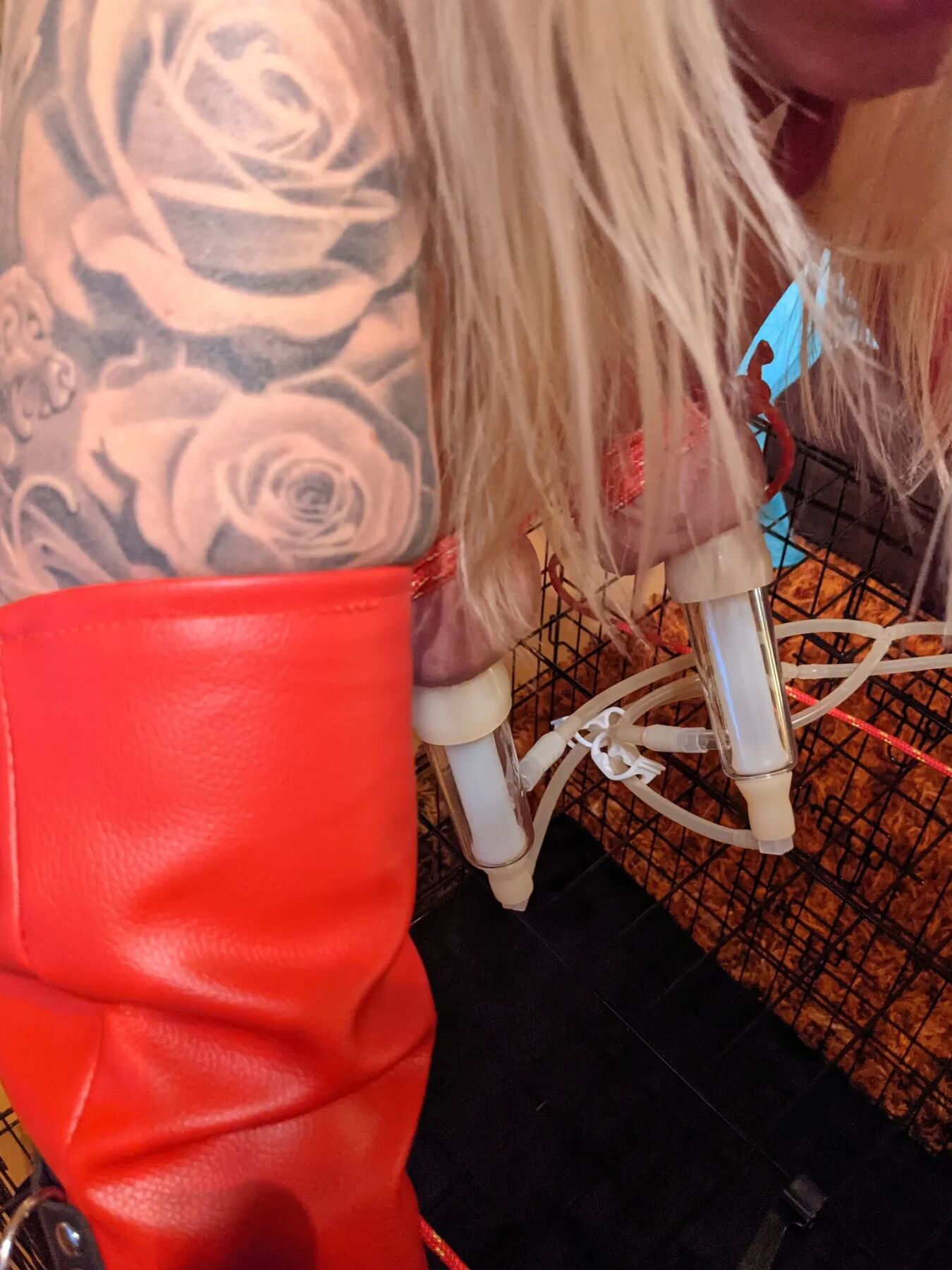 Liebe meine kleine Hucow