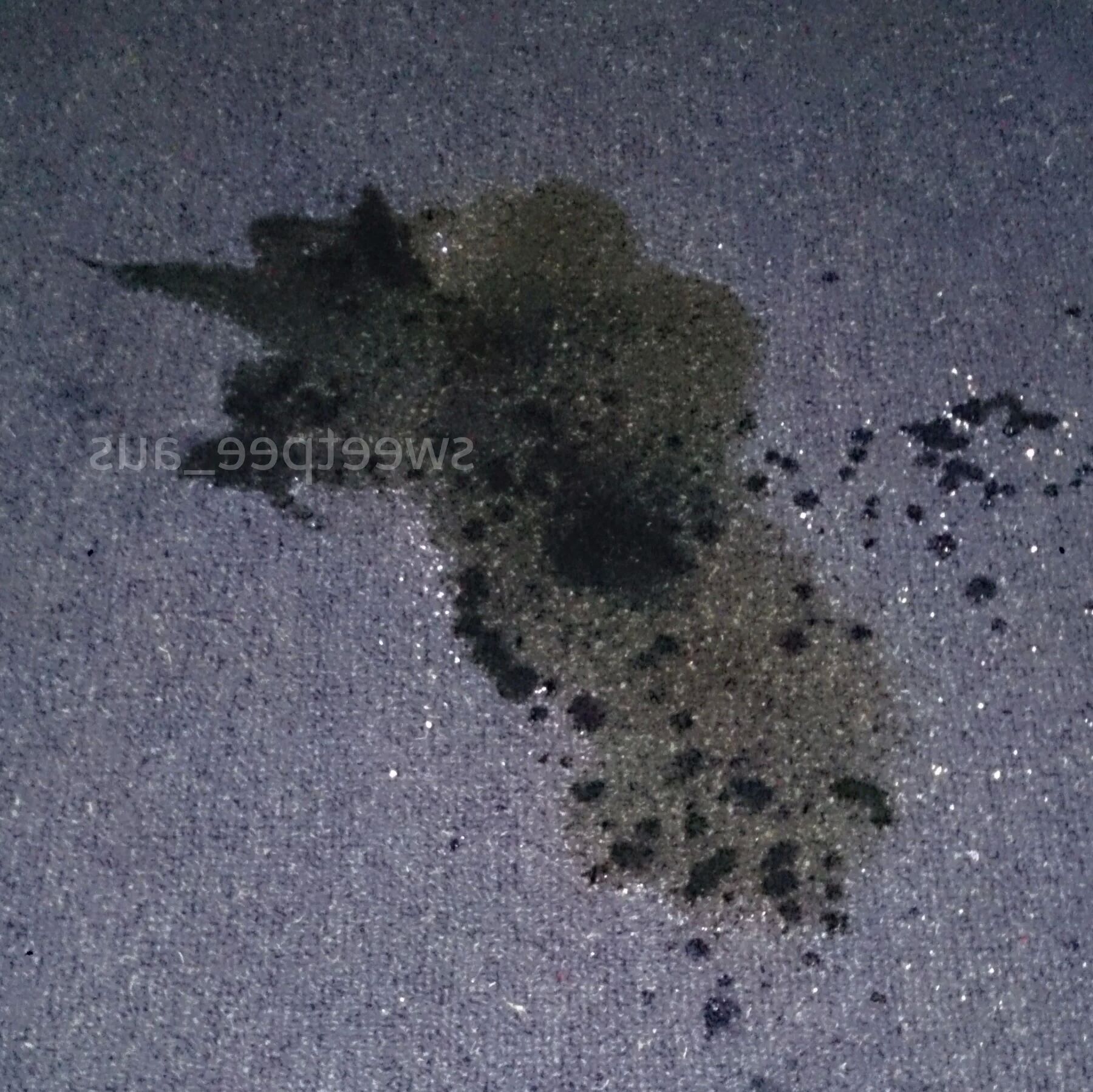 Pee photos (2016)
