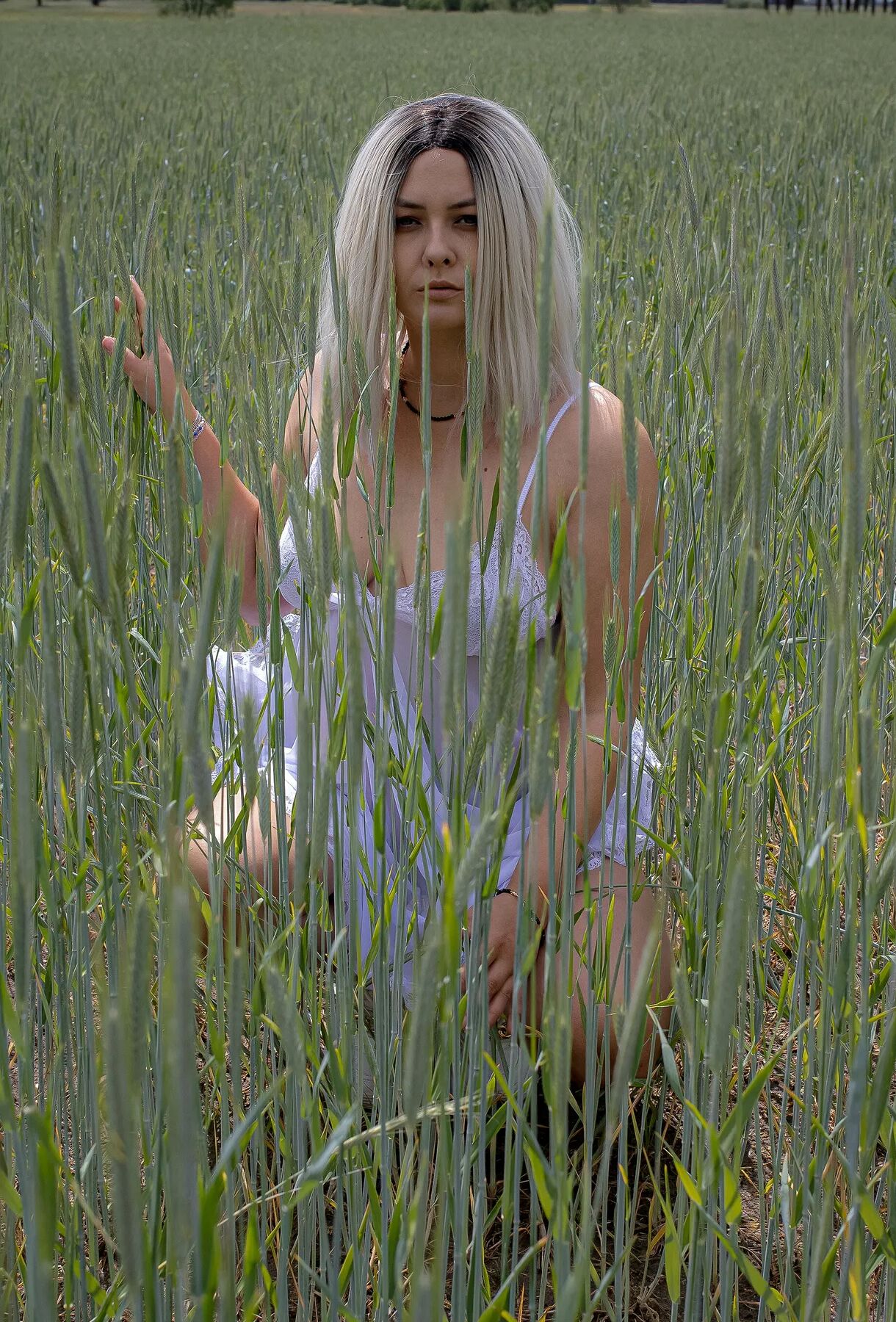 Ewka Free Photos