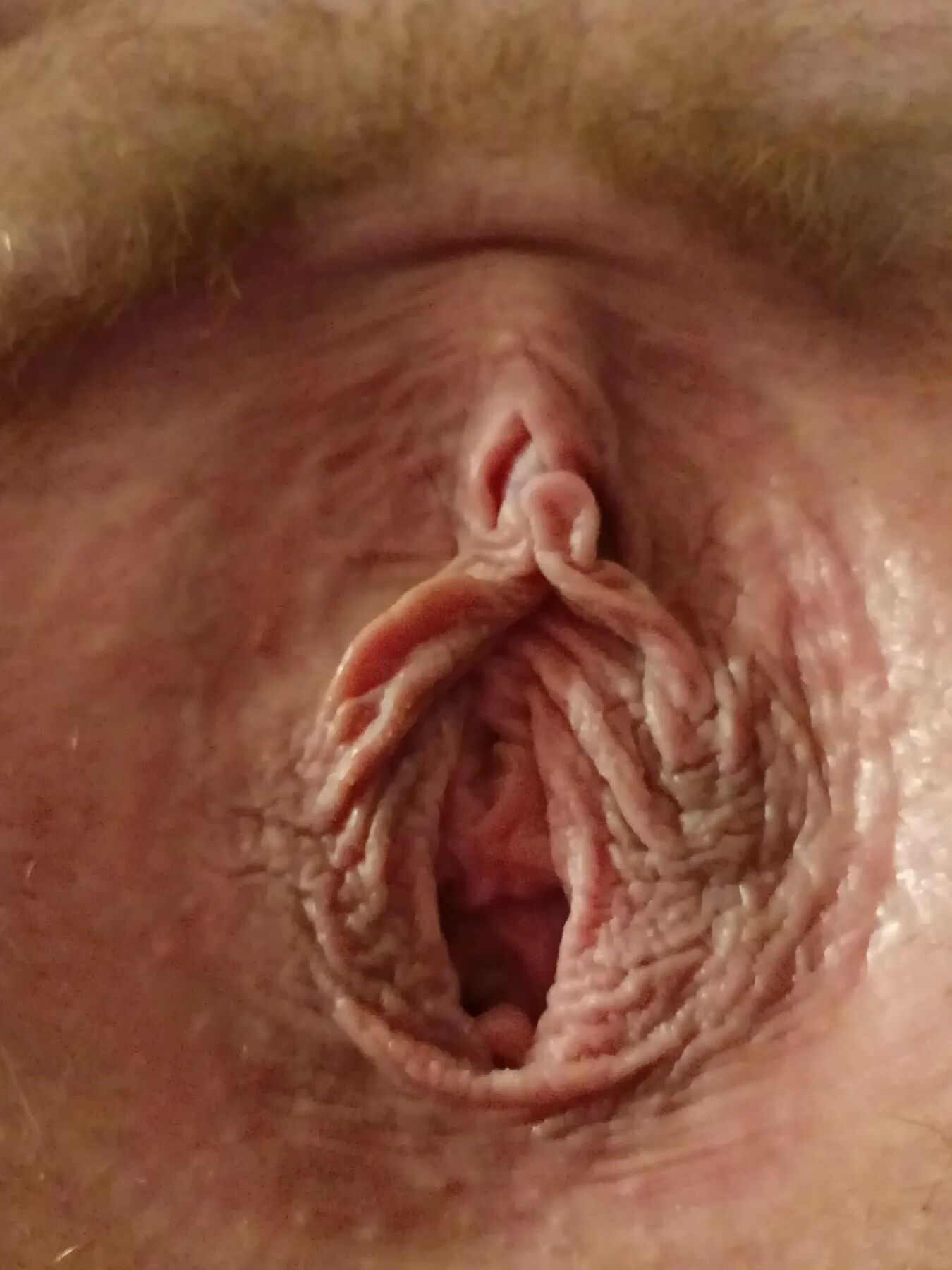 Rare hairy pussy photos