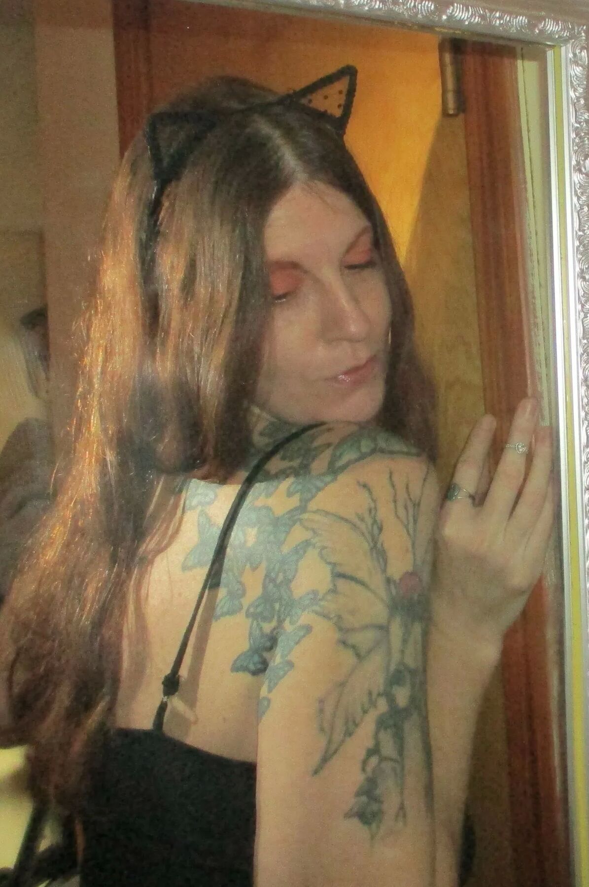 Here kitty kitty