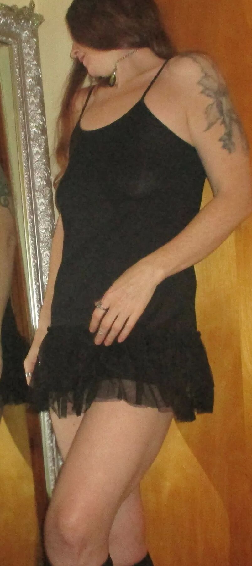 Here kitty kitty