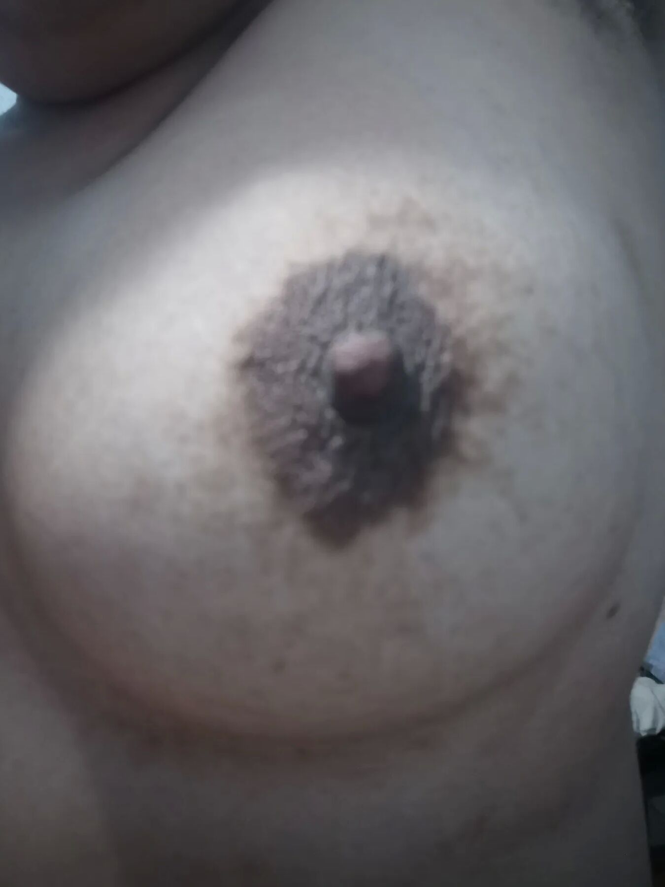 Tits tits and more tits