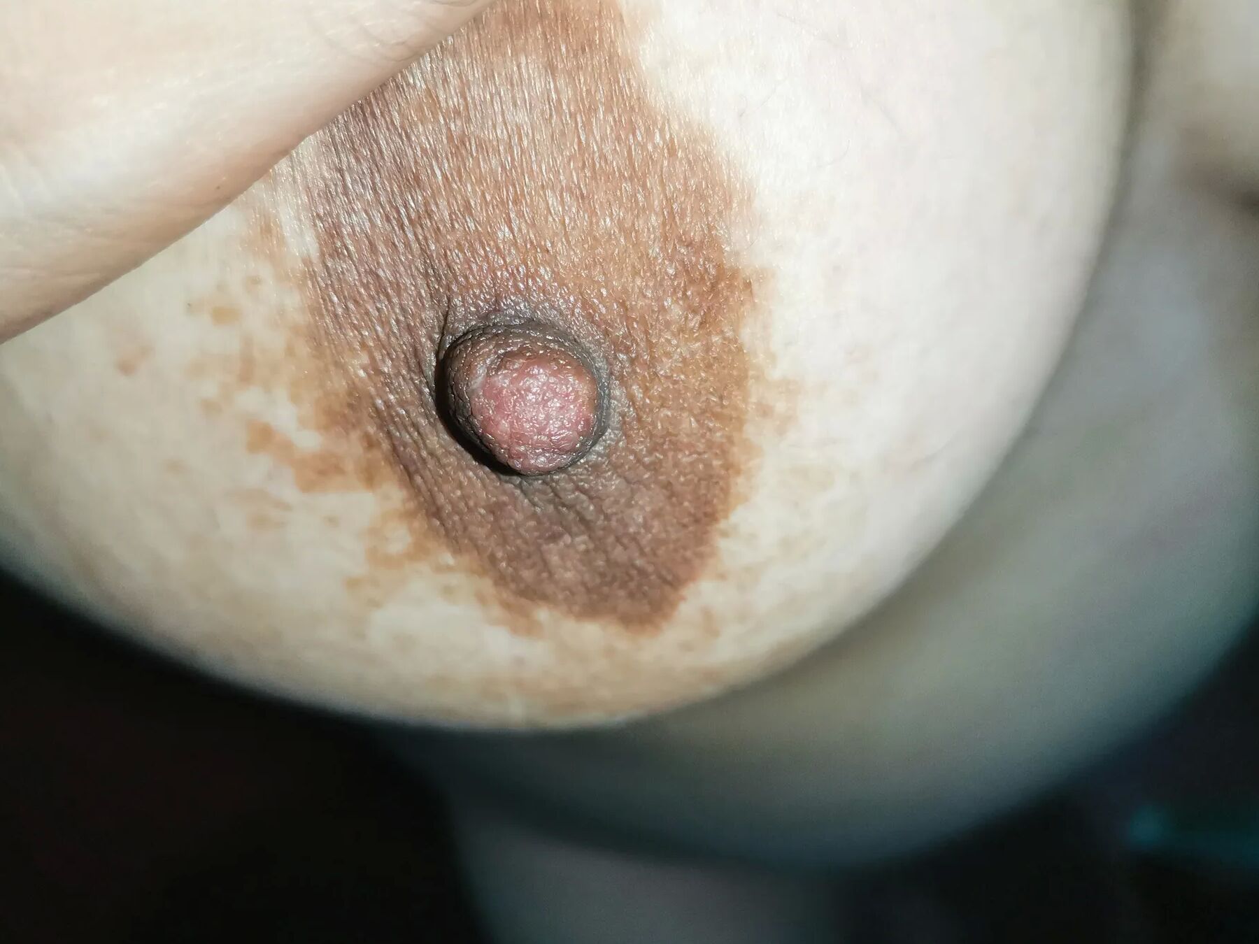 Tits tits and more tits