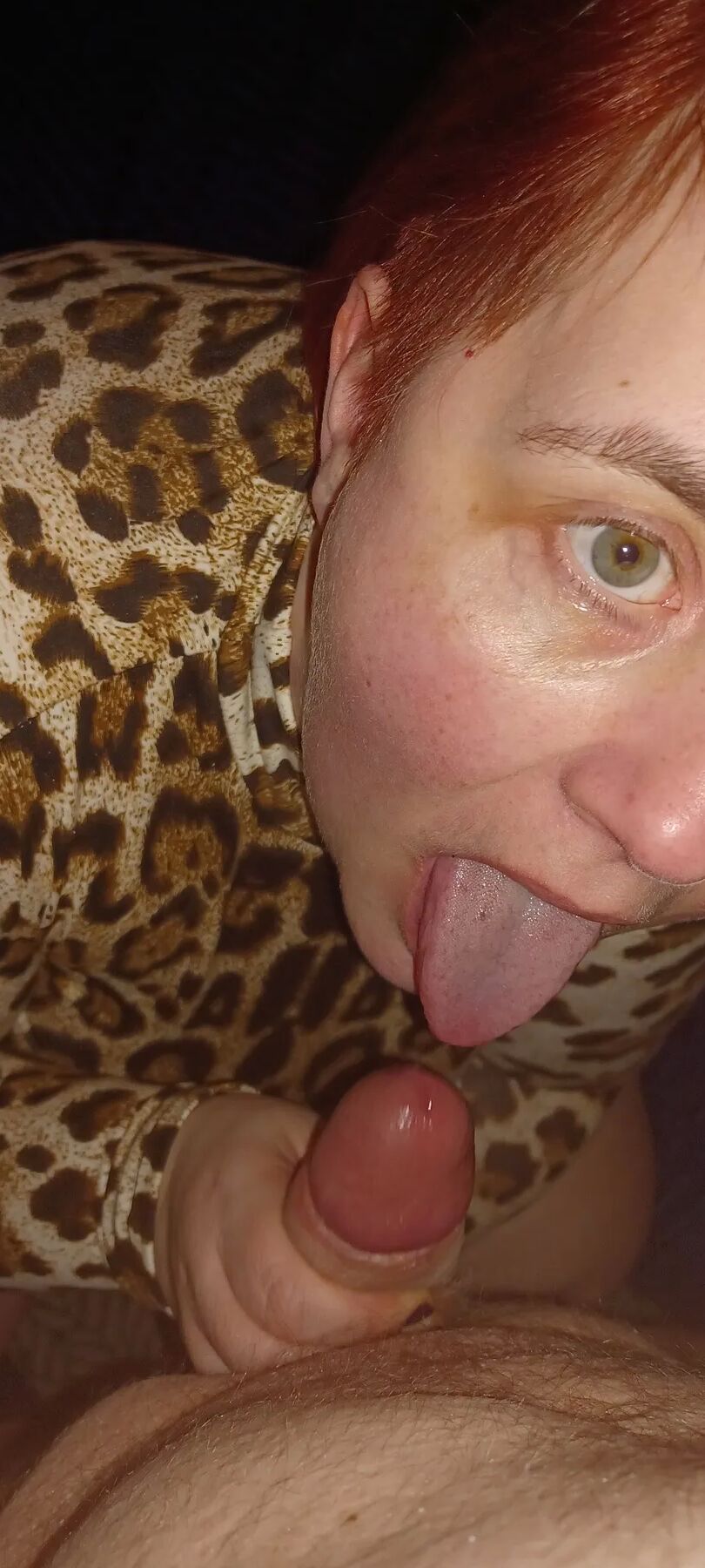 Karcelyne leopard.