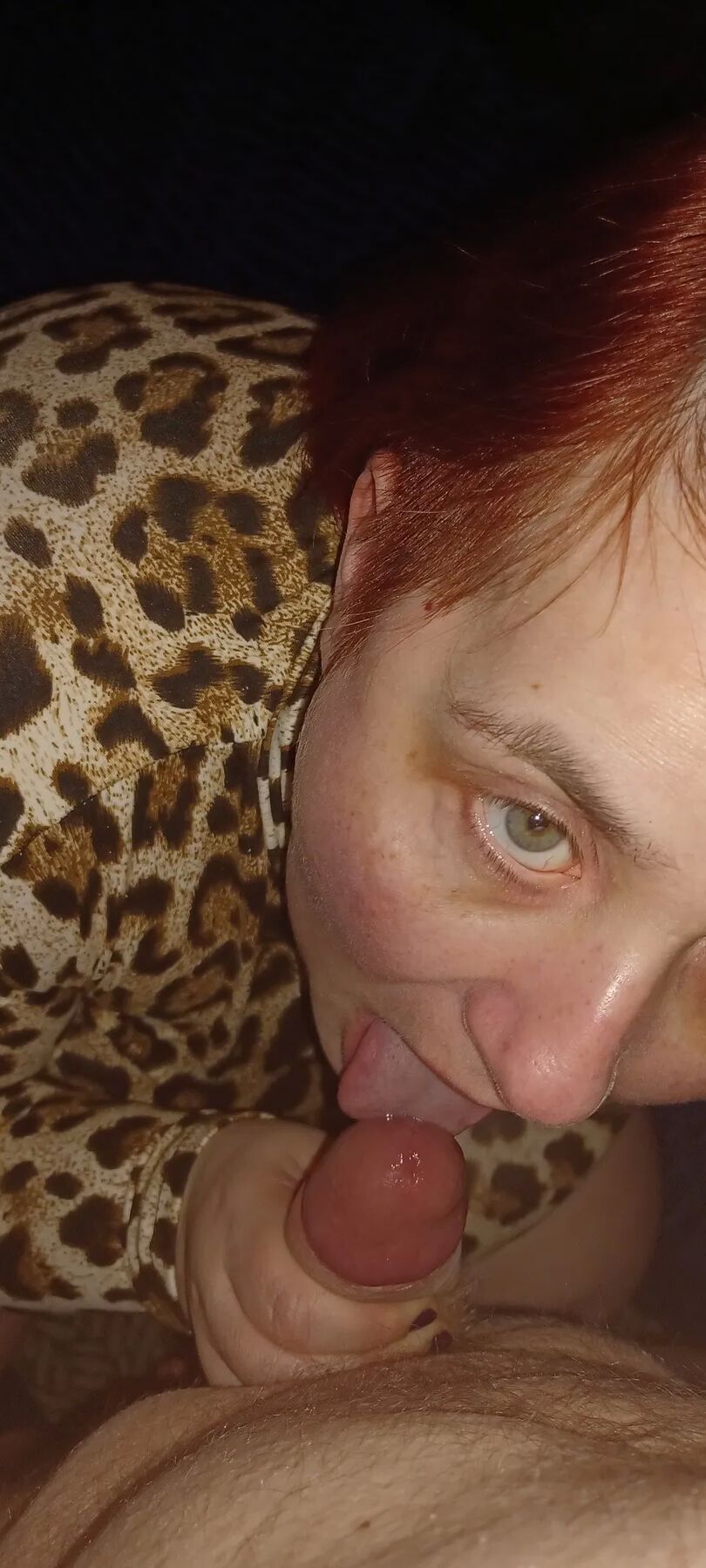 Karcelyne leopard.