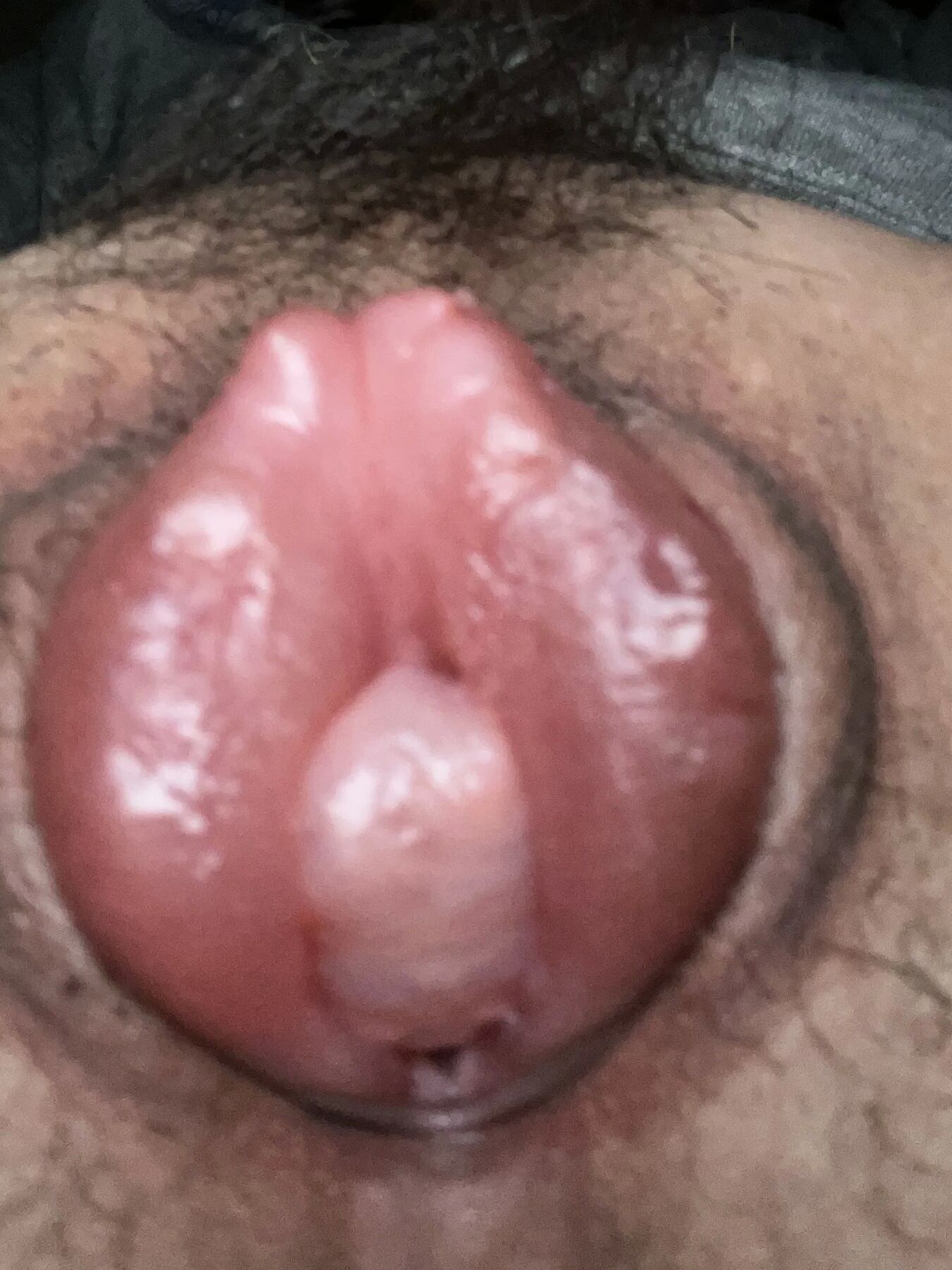 Pussy sucking