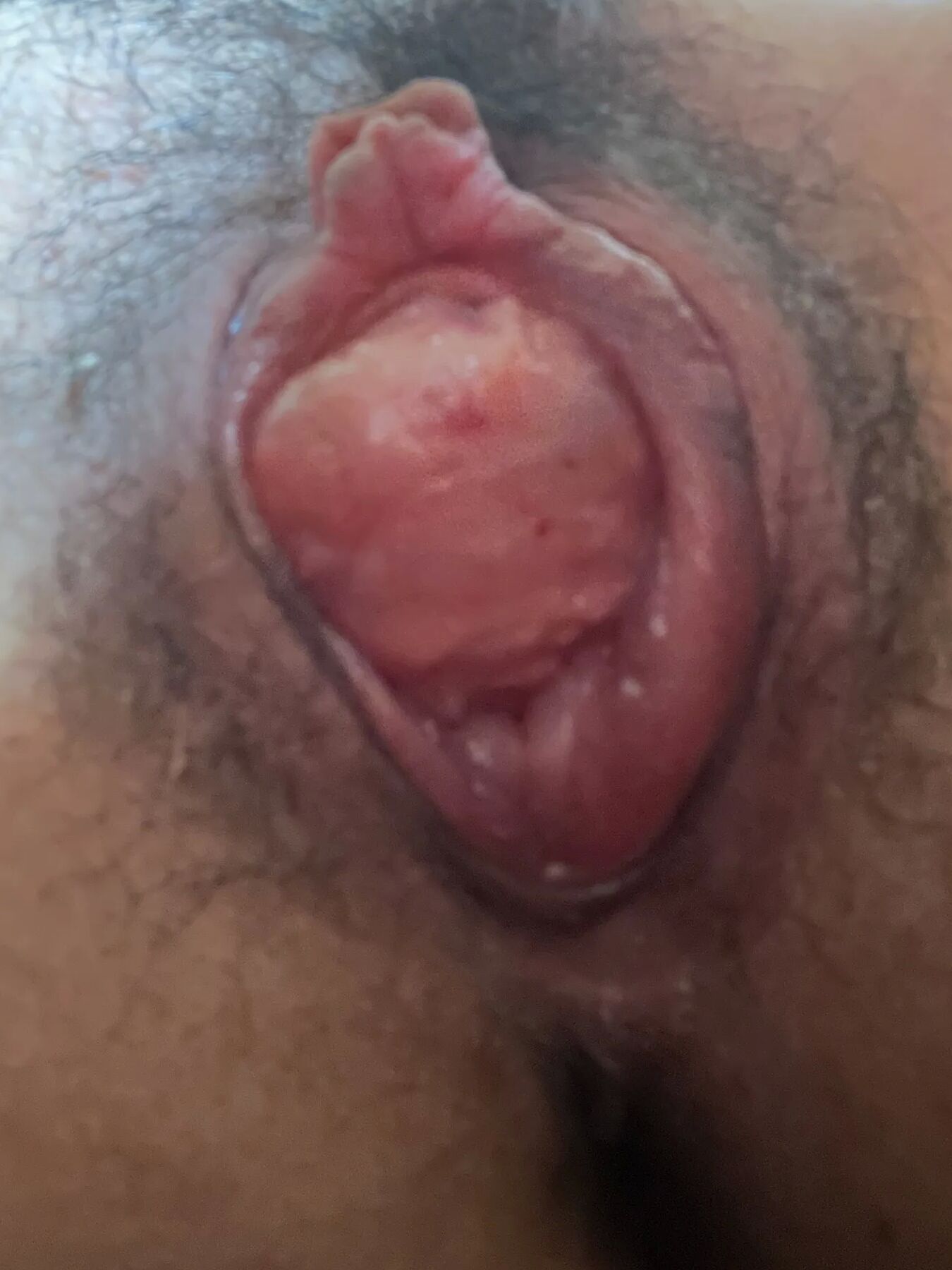 Pussy sucking