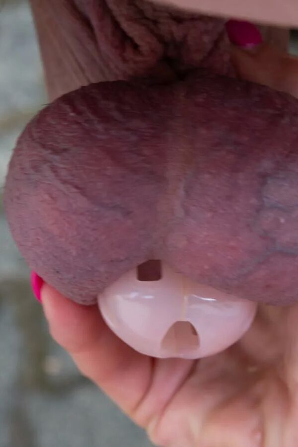 Femdom sissy chastity picture 2700 -2750