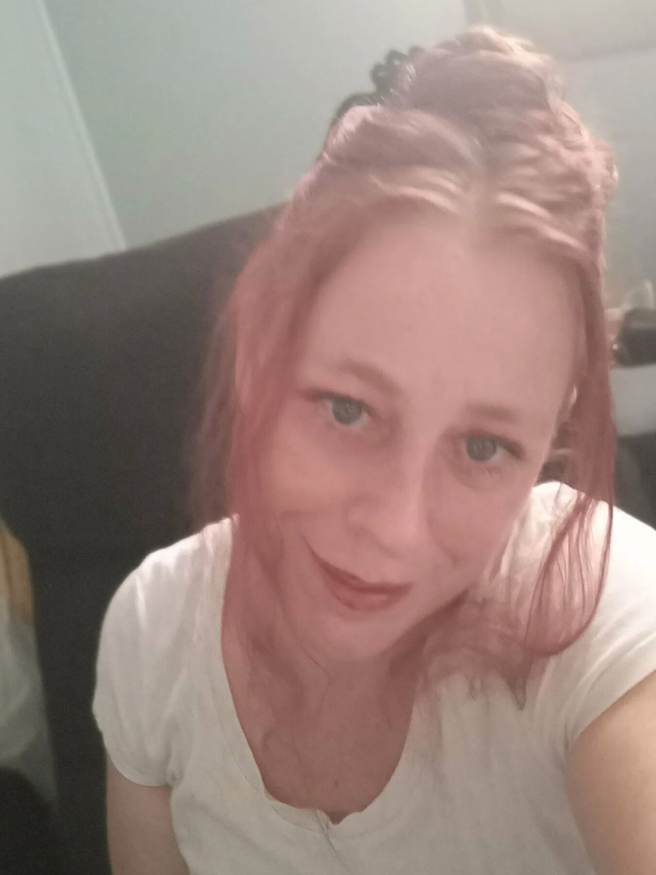 Emmabear  Free Photos