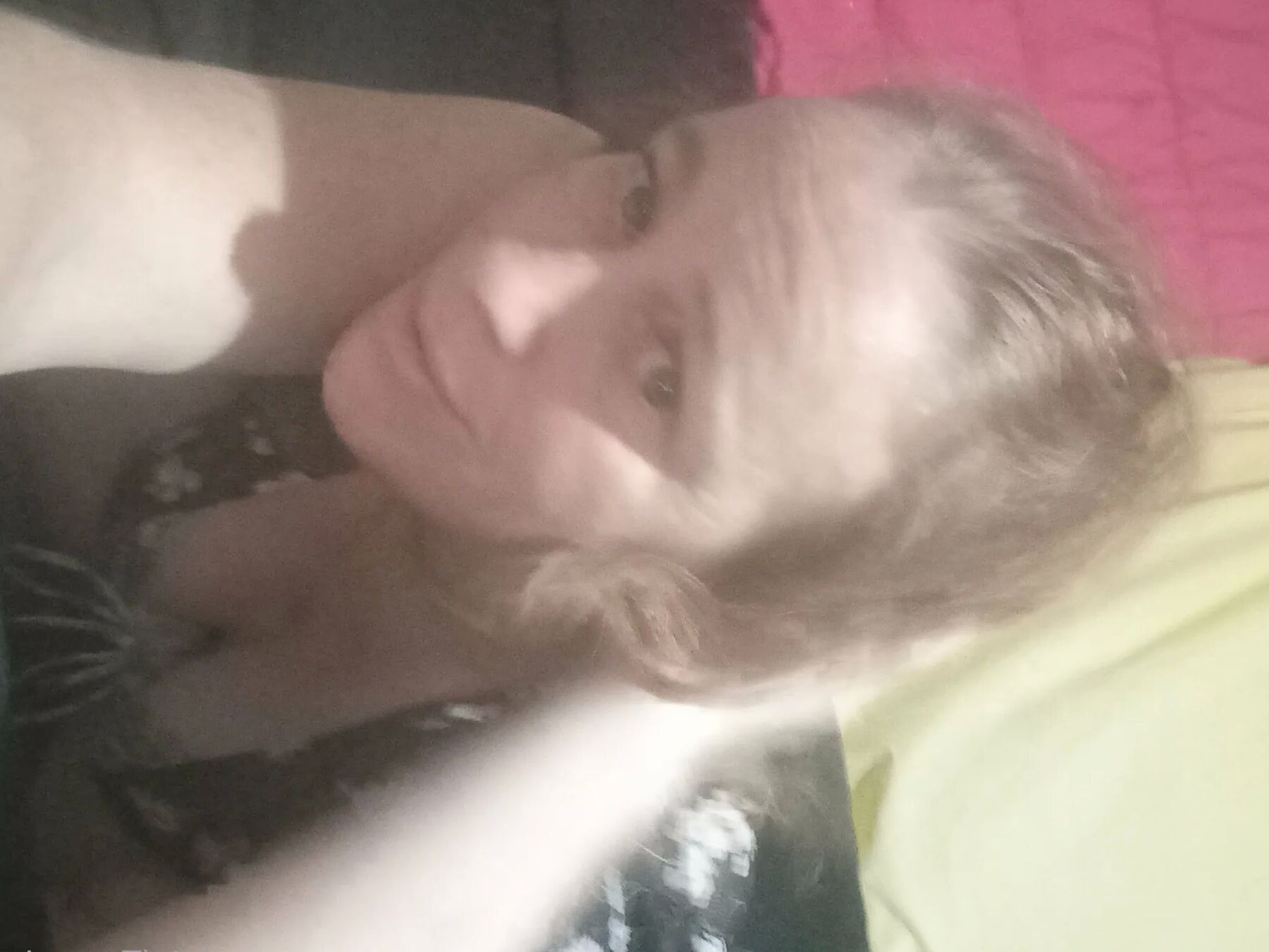 Emmabear  Free Photos