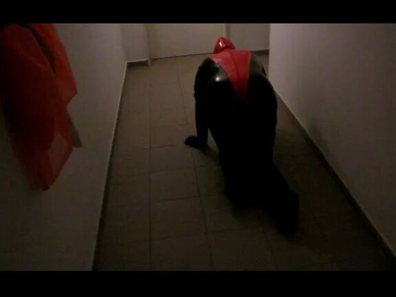 Petplay in latex suit ...