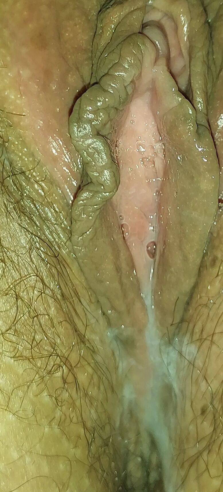 Pussy with milk