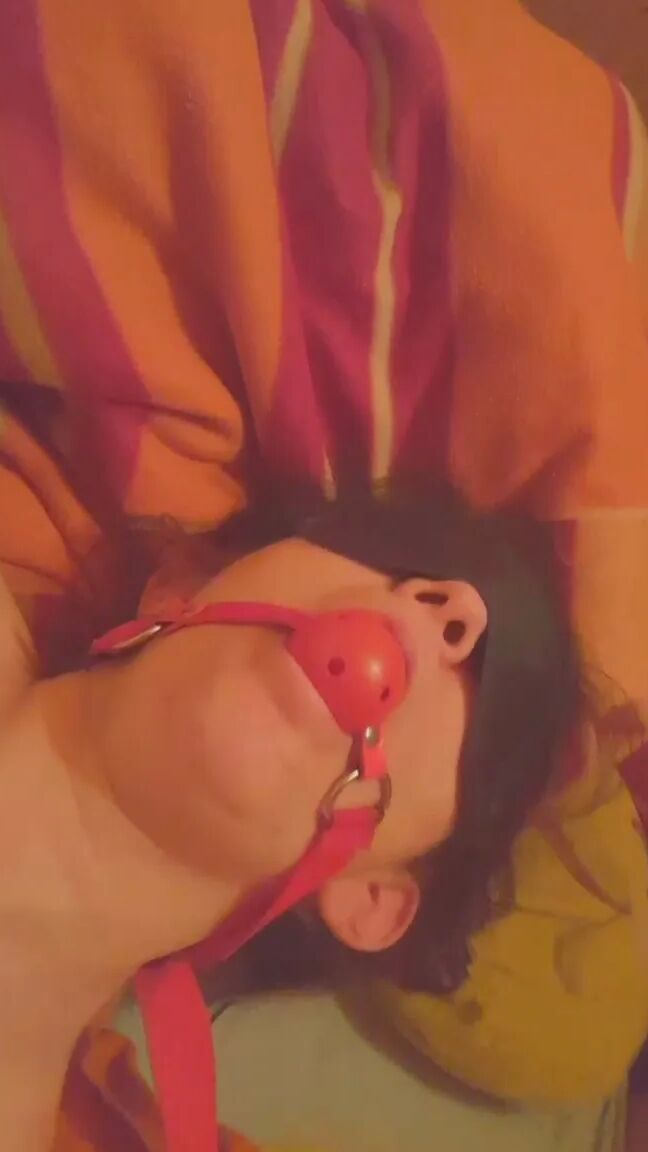 Wife