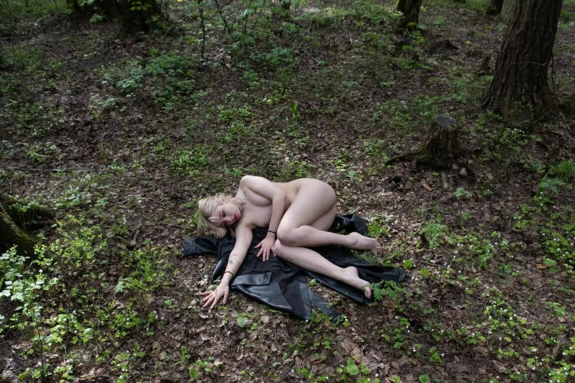 Photo project in the forest
