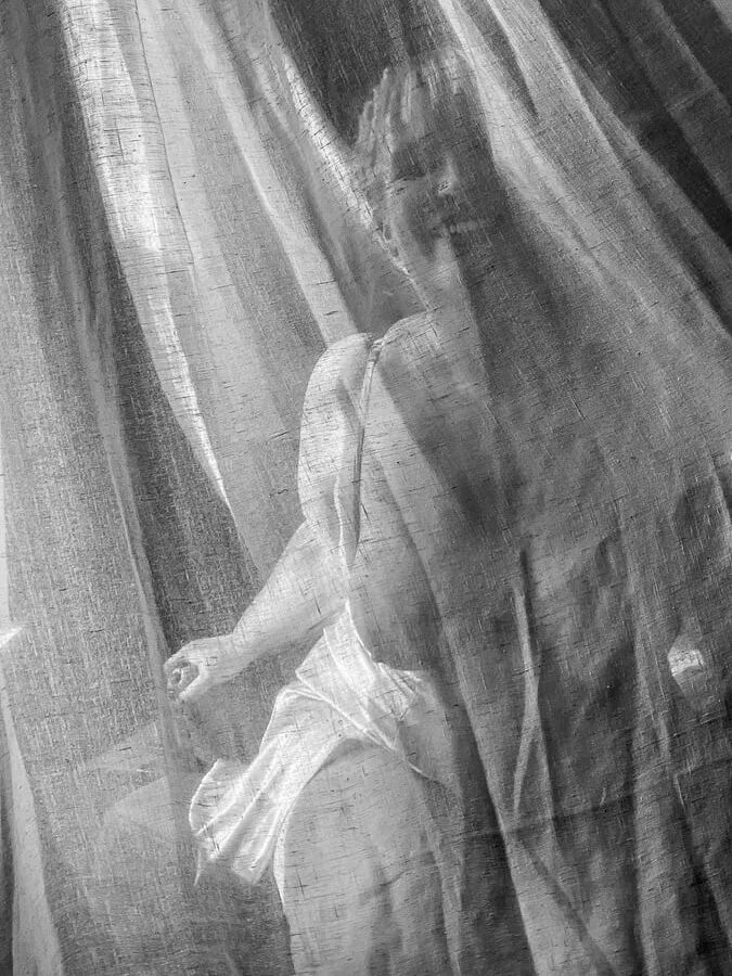 Silhouette in the curtain BBW Naked curves sensual chubby