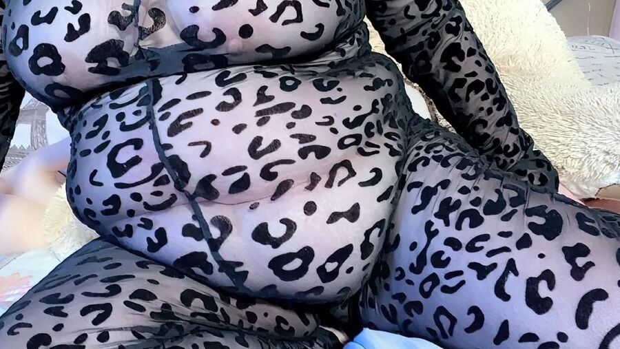 Cat Print Suit Photoset