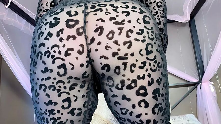 Cat Print Suit Photoset