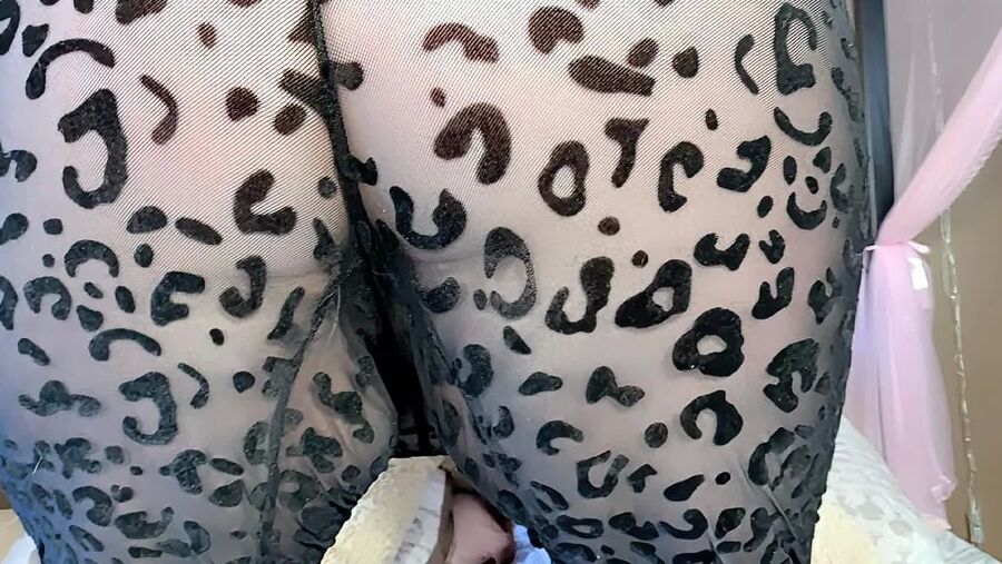 Cat Print Suit Photoset